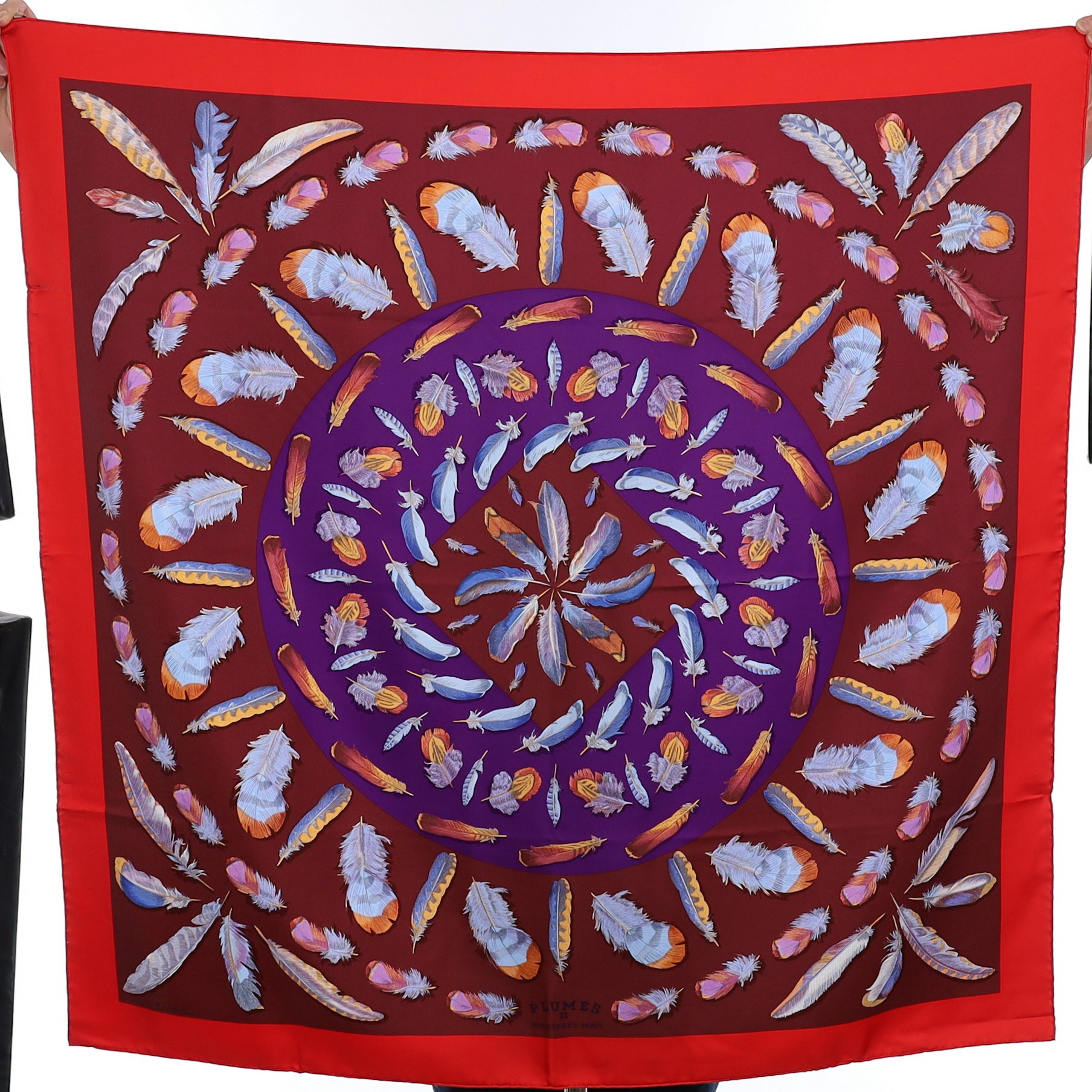 Brand New Boxed Hermès Plumes II Silk Scarf