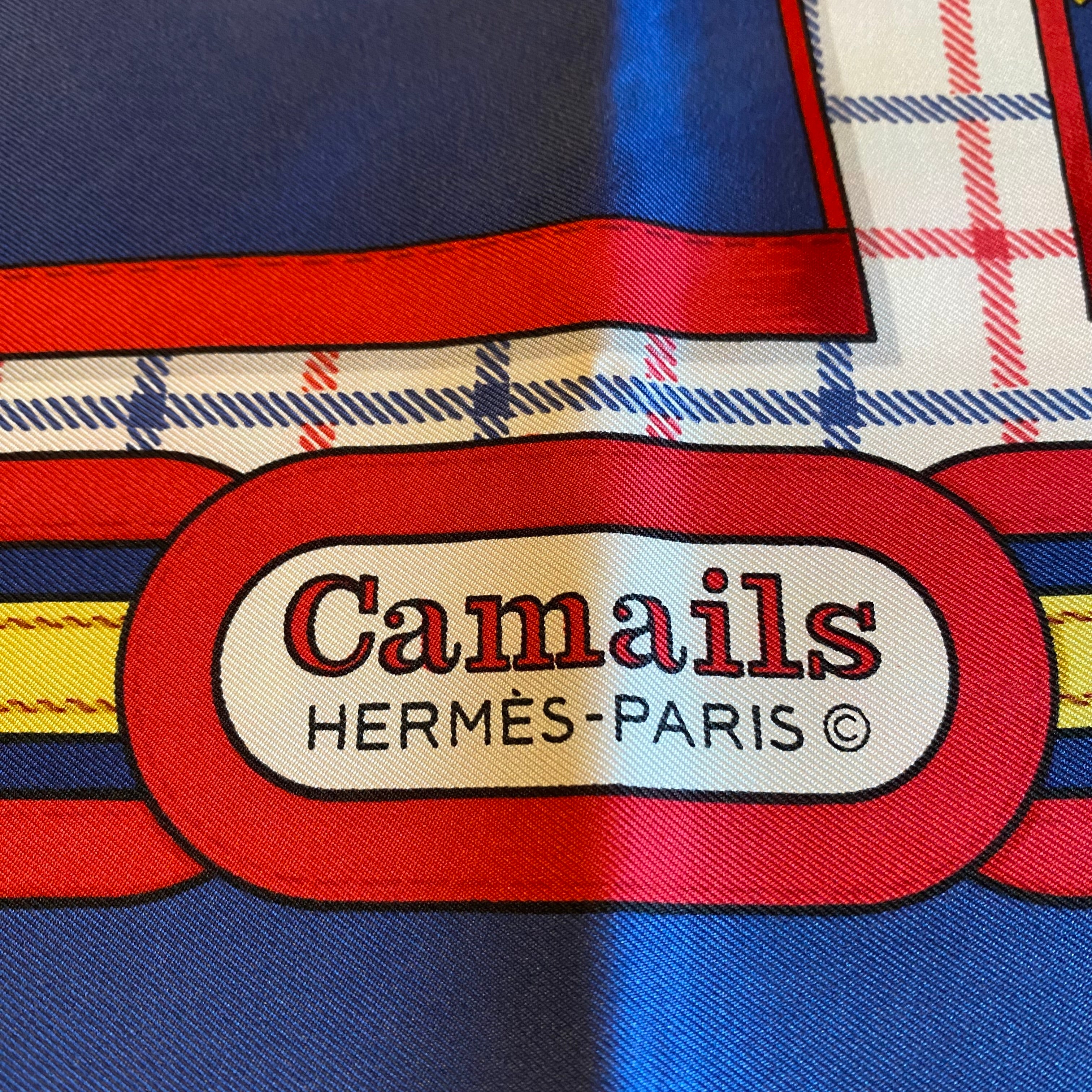 Hermès Camails Silk Scarf Quite Rare