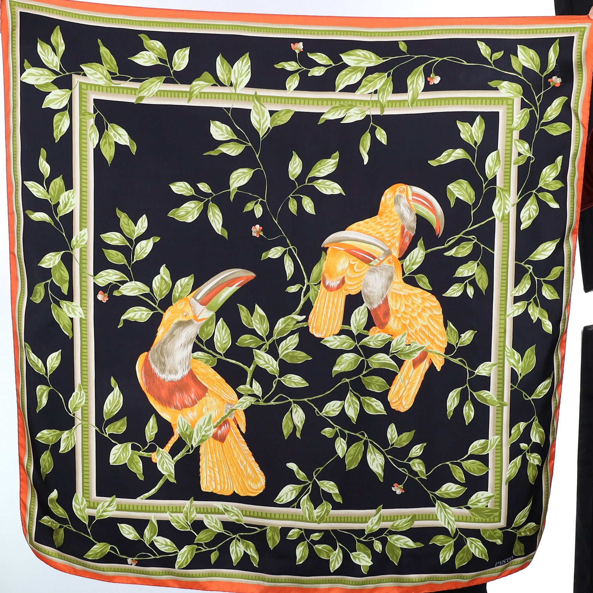 Pinto Parrot Black Vintage Silk Scarf