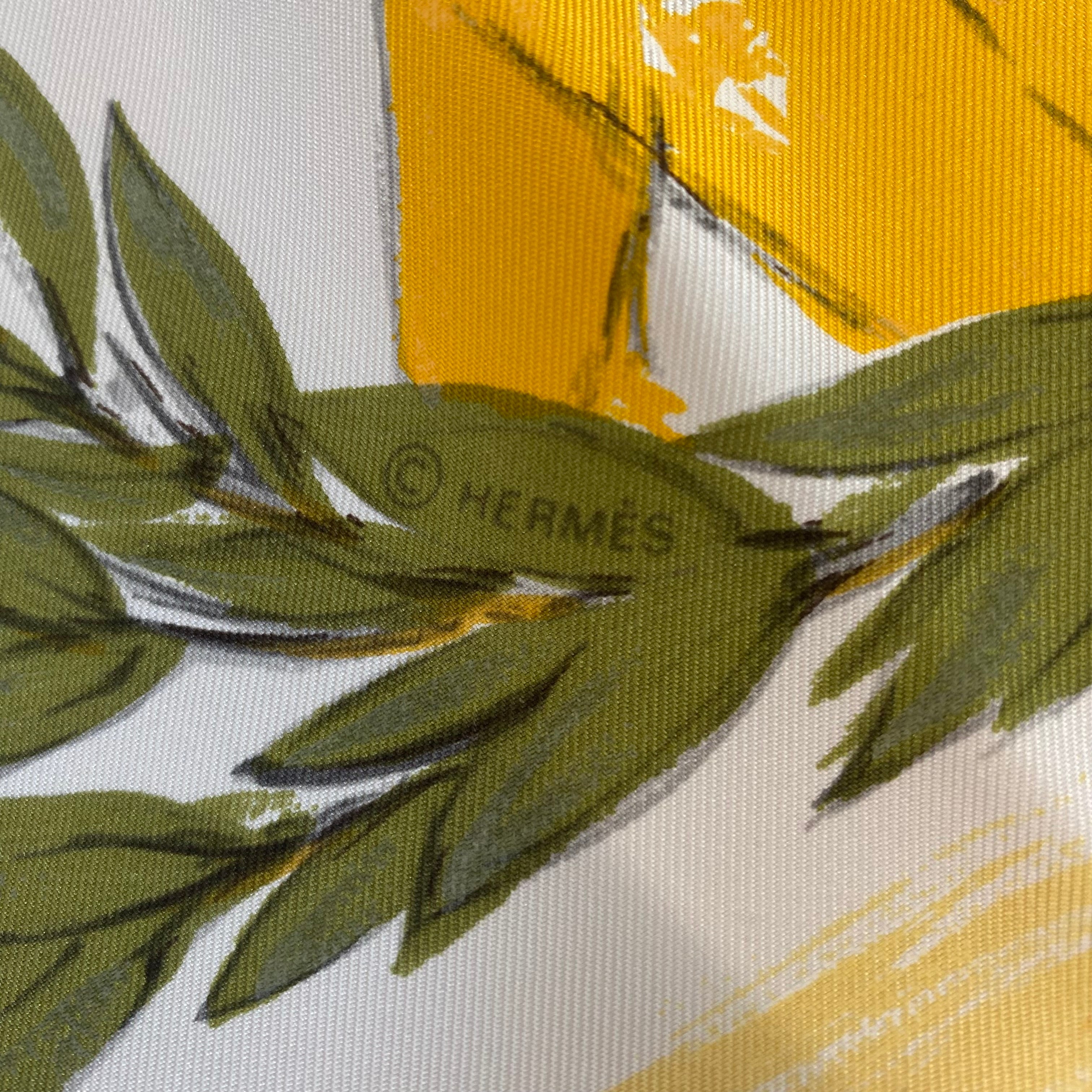 Hermès Champ de Courses À Chantilly Silk Scarf