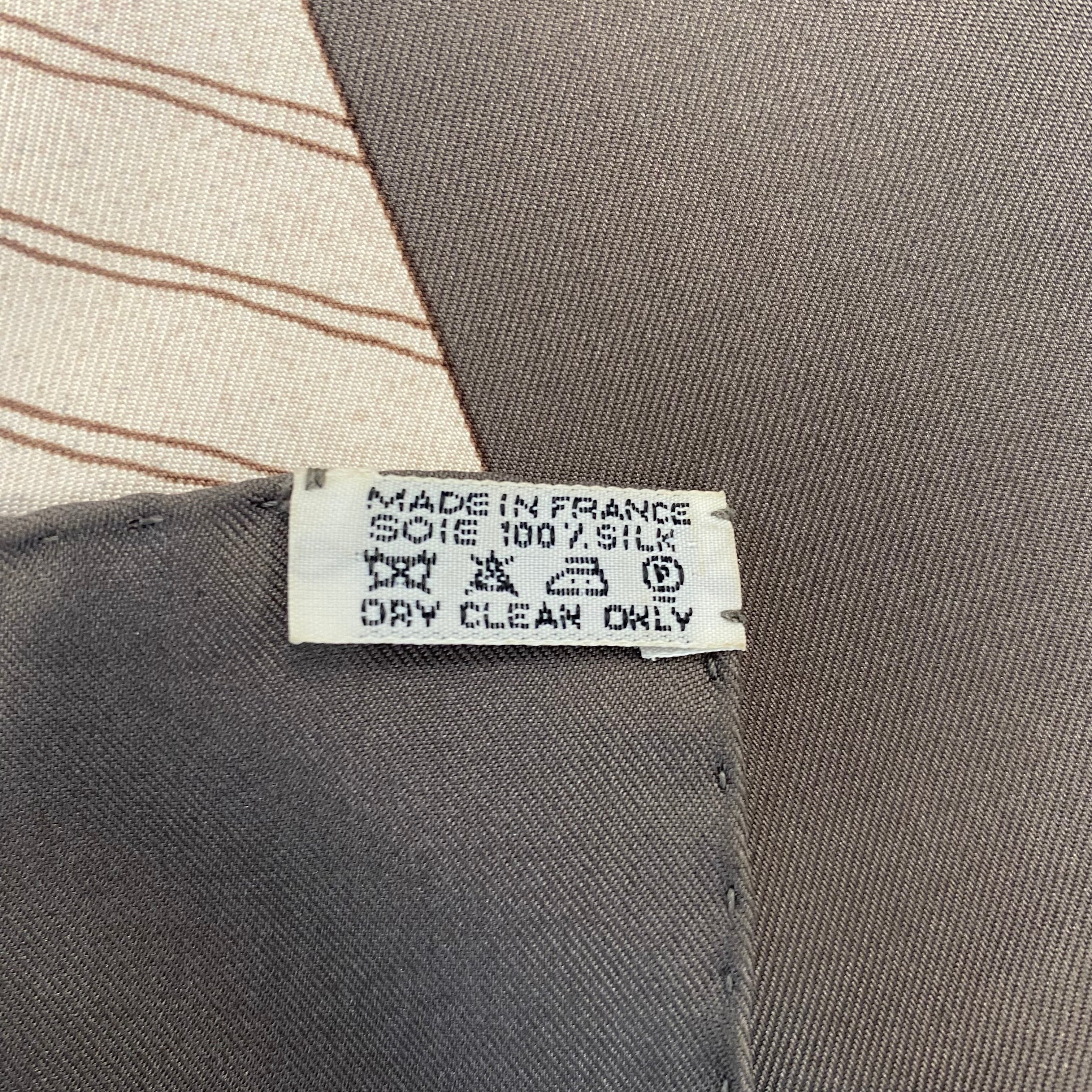 Pristine Hermès Vent Portant II (Detail) Silk Scarf Quite Rare