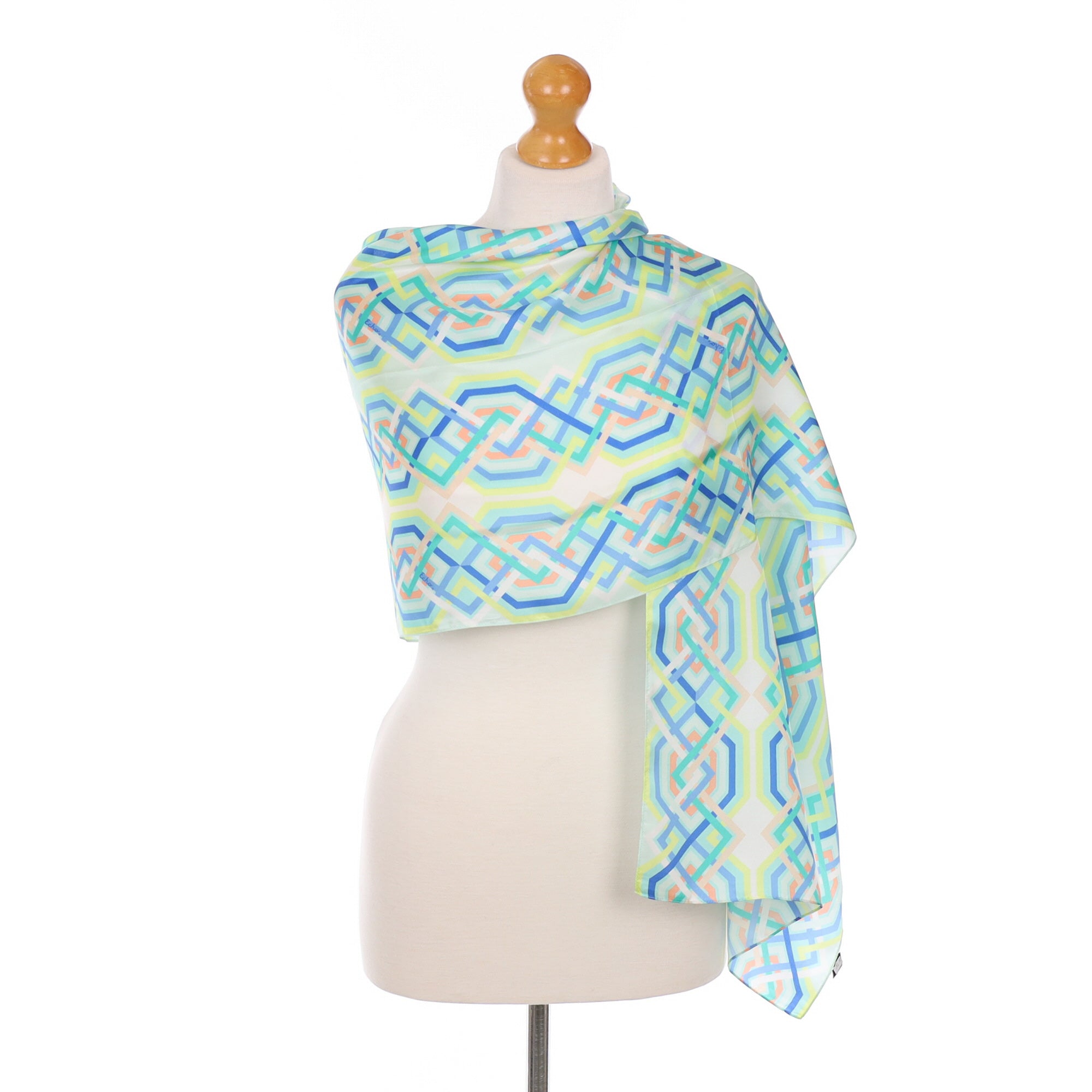 Brand New Echo Long Silk Scarf