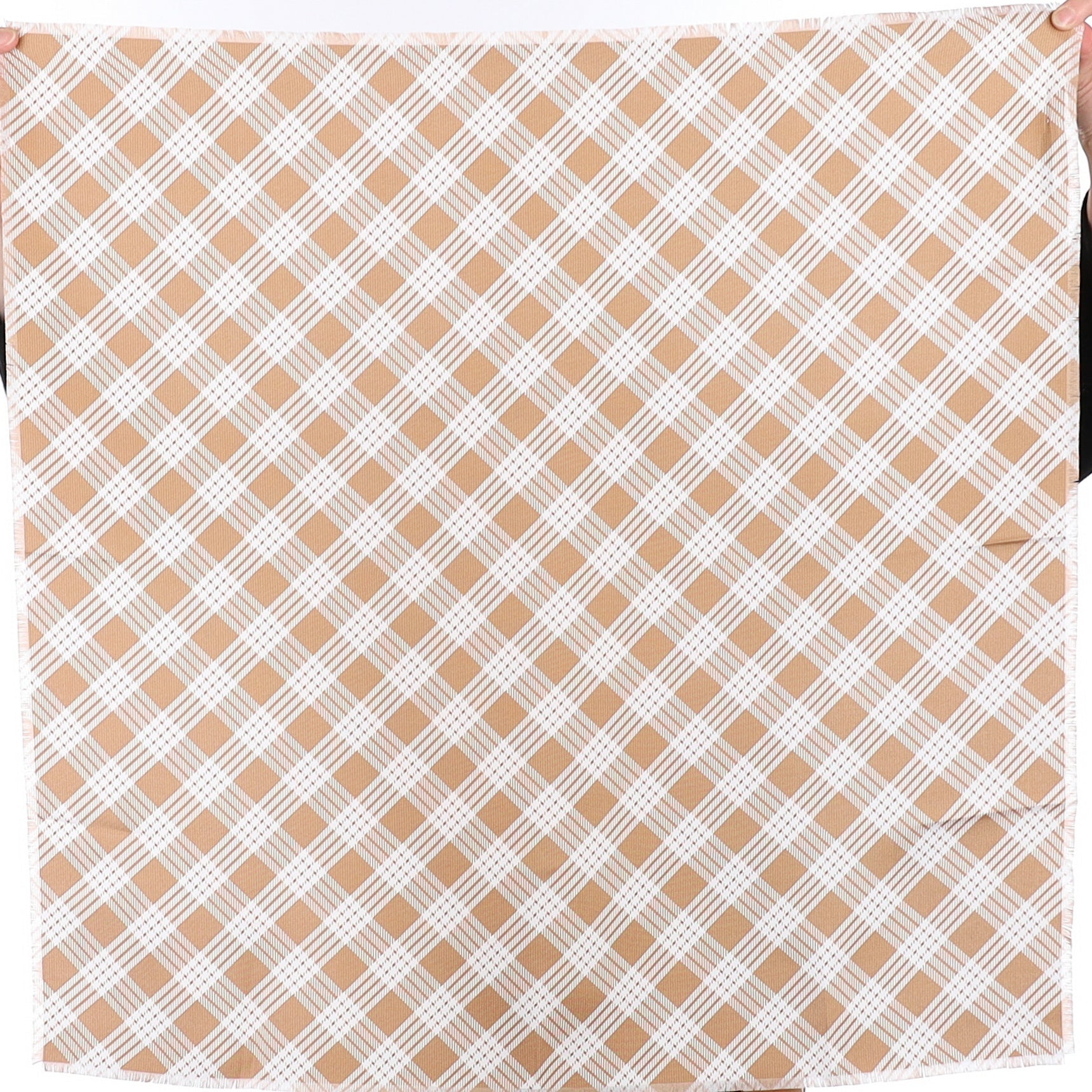 Brand New Agnona Checked Silk Scarf