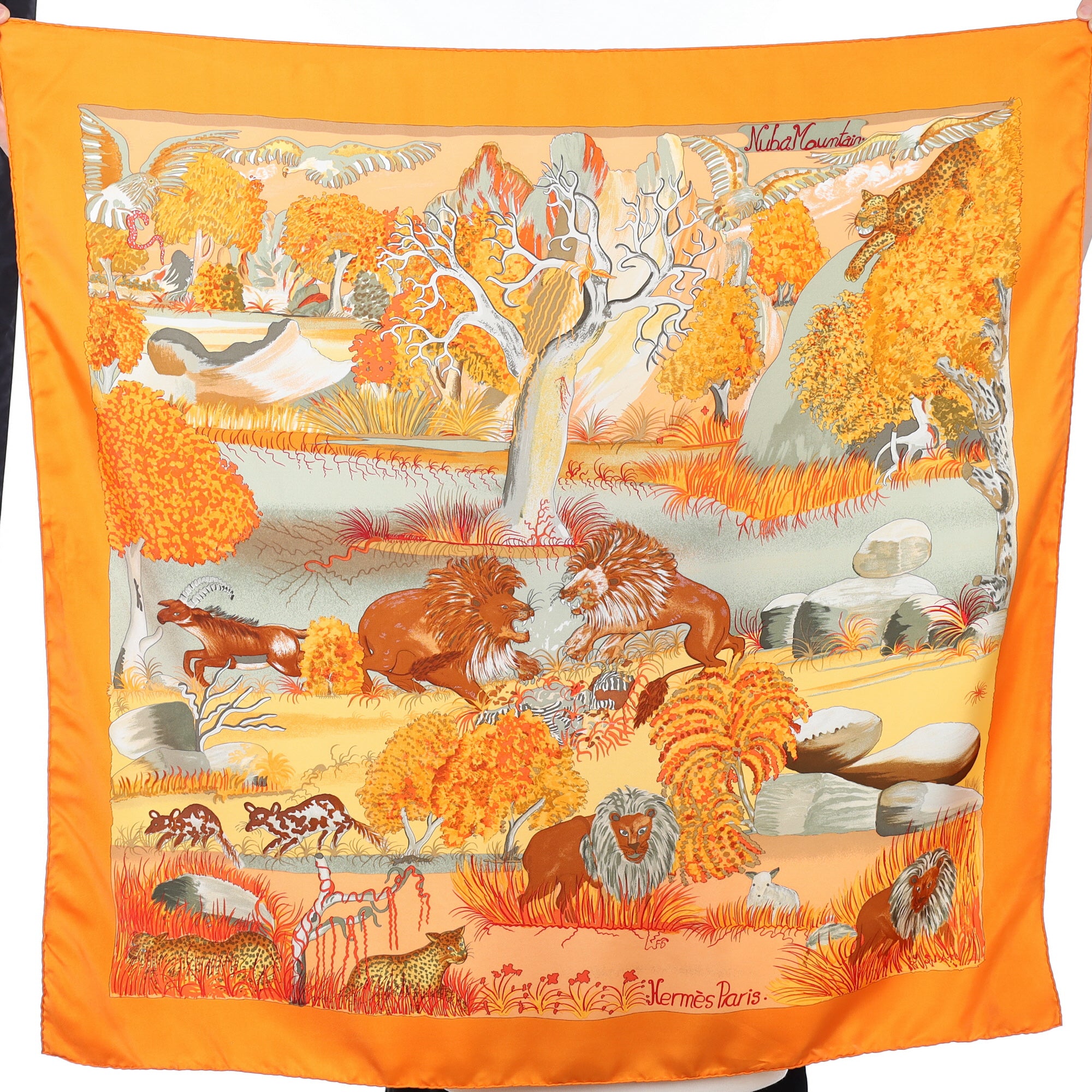 Hermès Nuba Mountain Vintage Silk Scarf