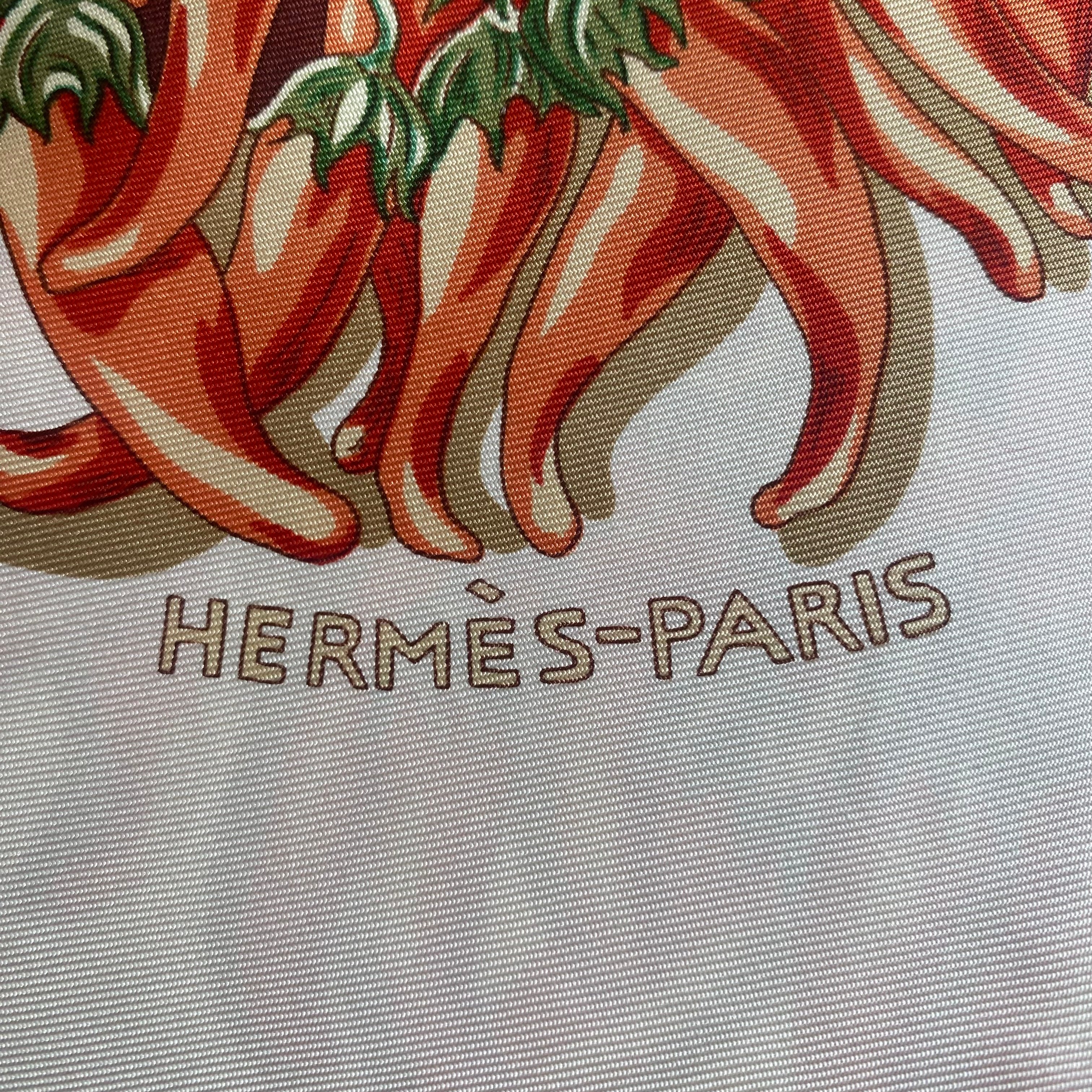 Boxed Hermès Aux Pays des Epices Silk Scarf