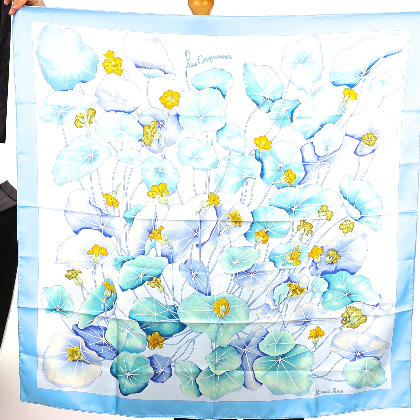 Brand New Boxed Hermès Les Capucines Silk Scarf Quite Rare