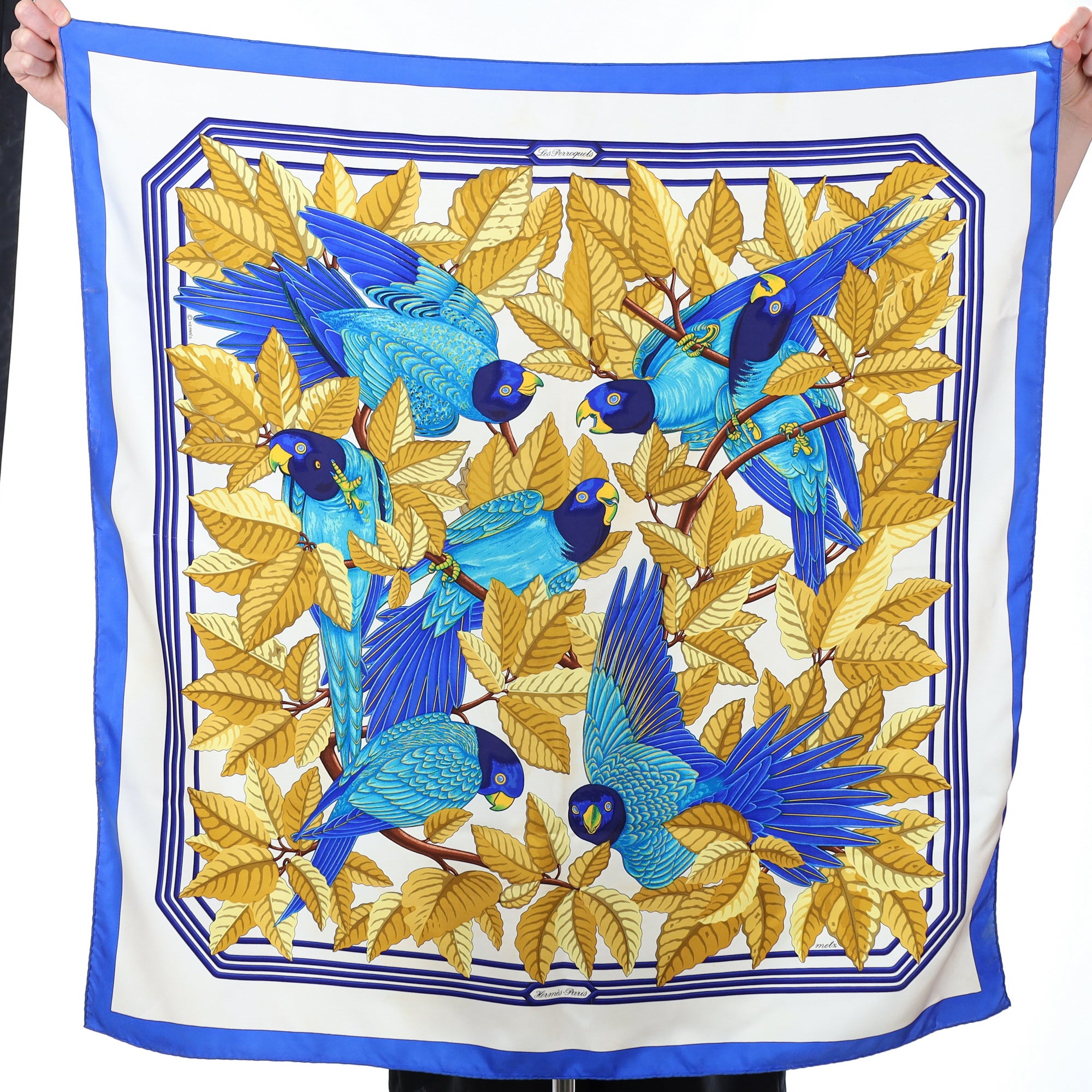 Hermès Les Perroquets Silk Scarf