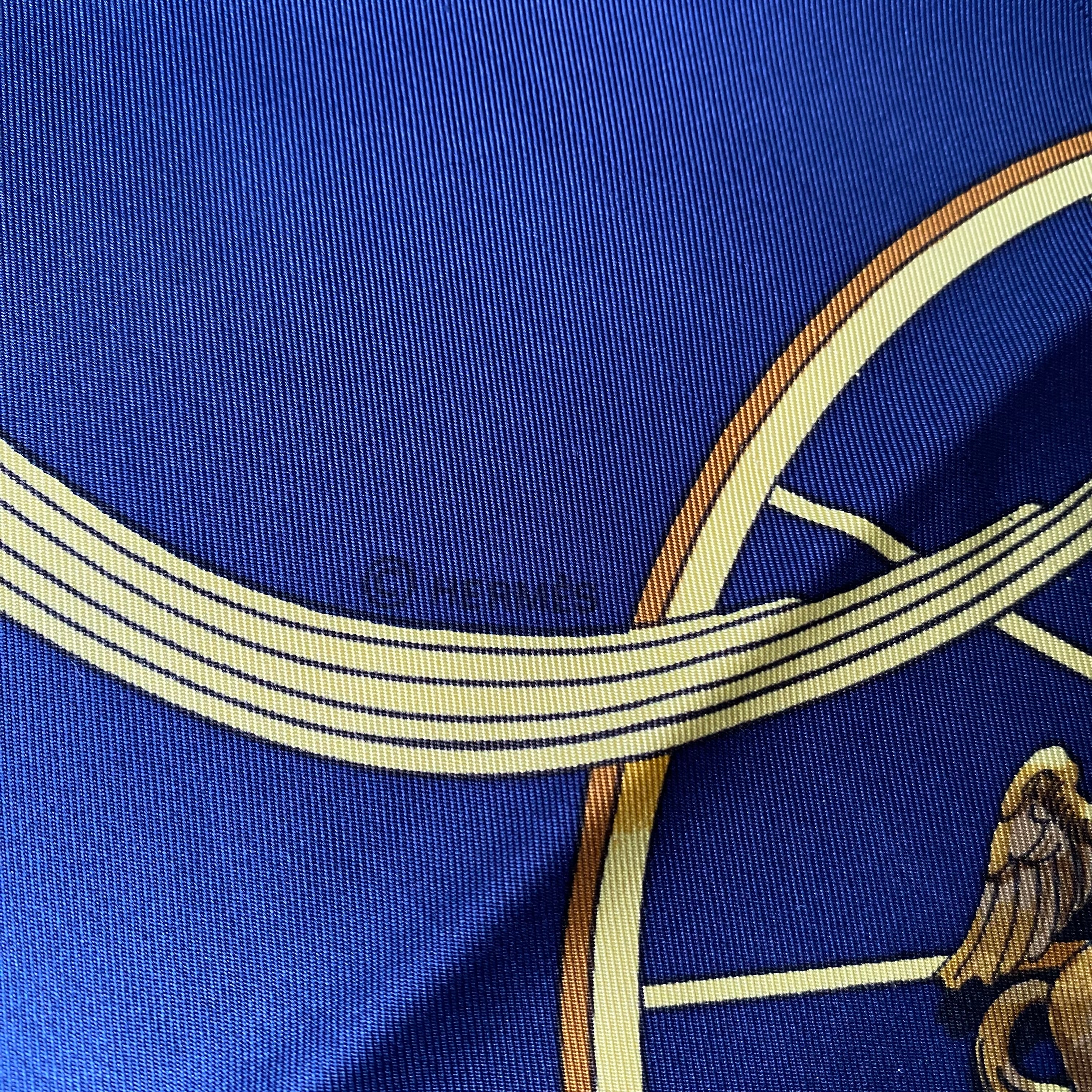 Hermès Springs Silk Scarf