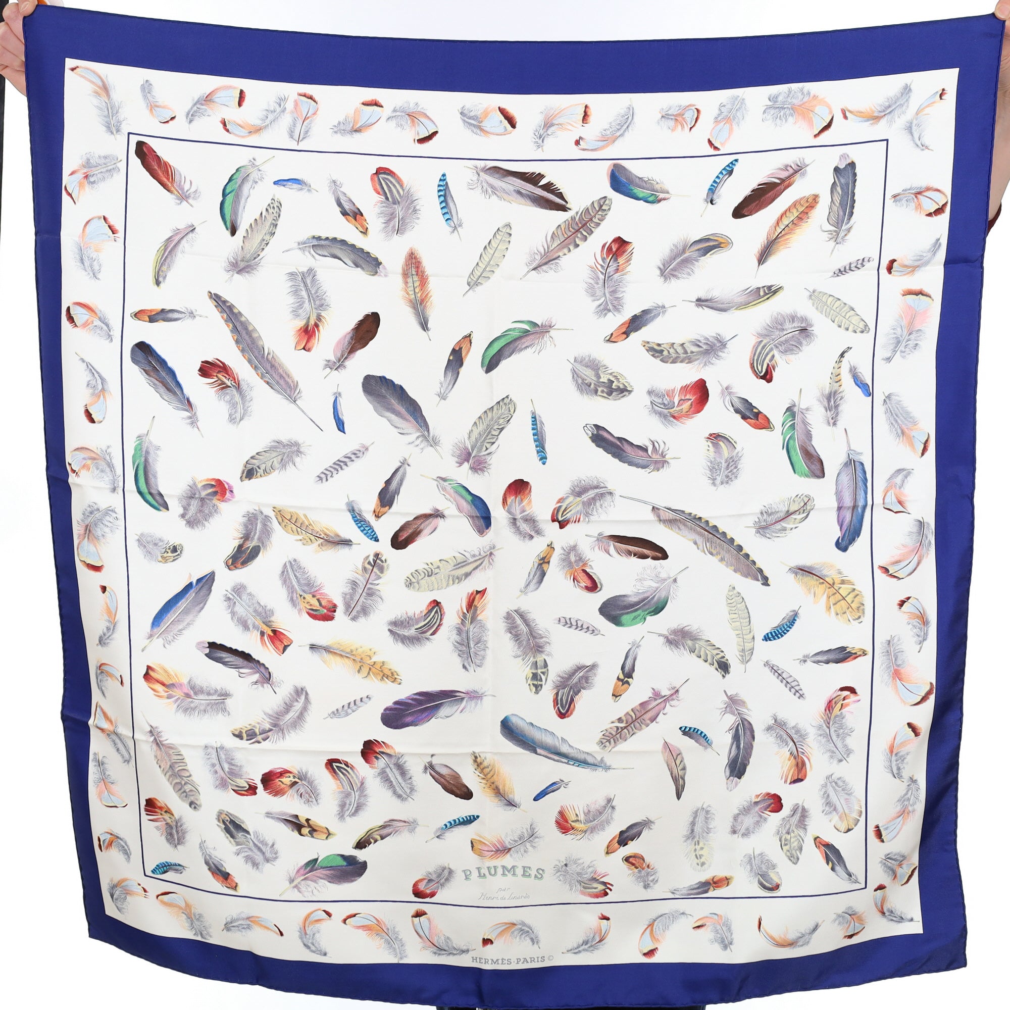 Hermès Plumes Silk Scarf