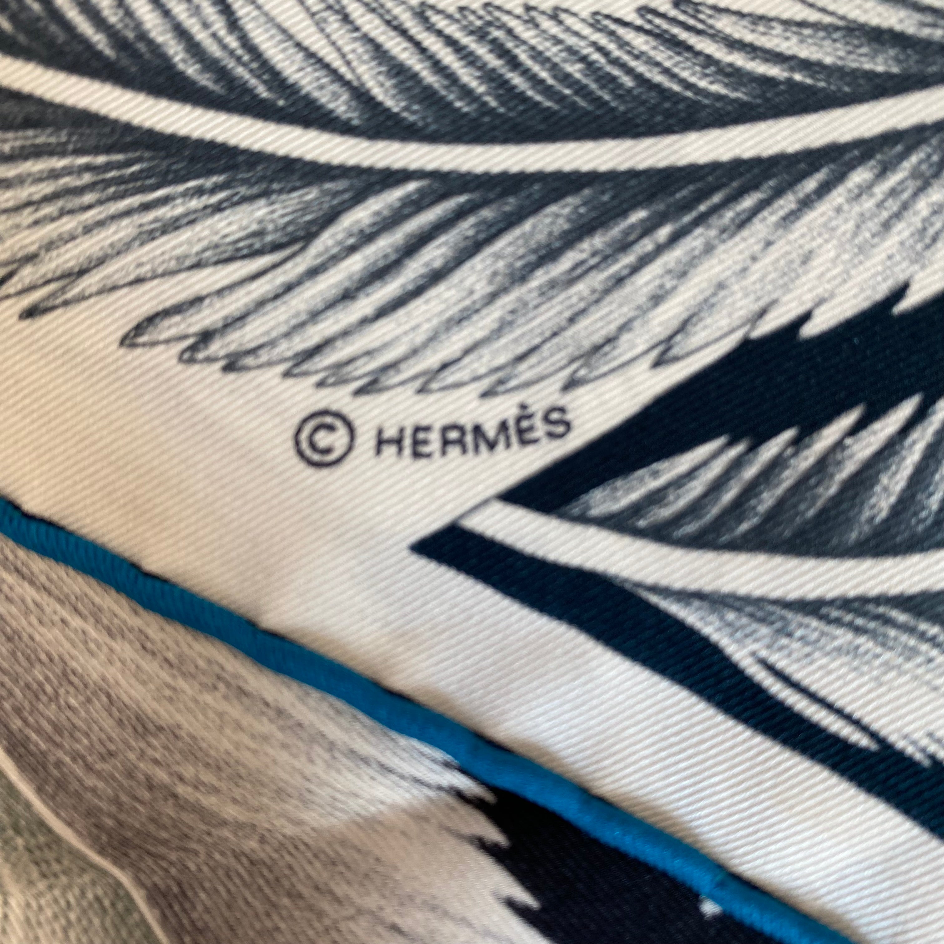 Pristine Hermès À la Plume Vintage 70 Silk Scarf Rare