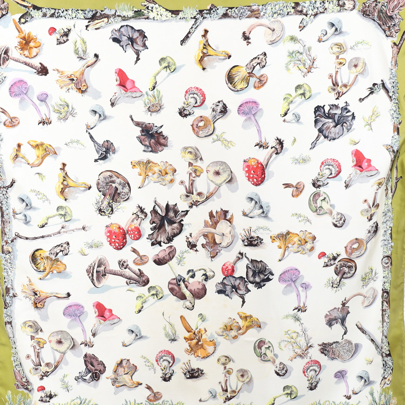 Hermès Mushroom Silk Scarf Rare