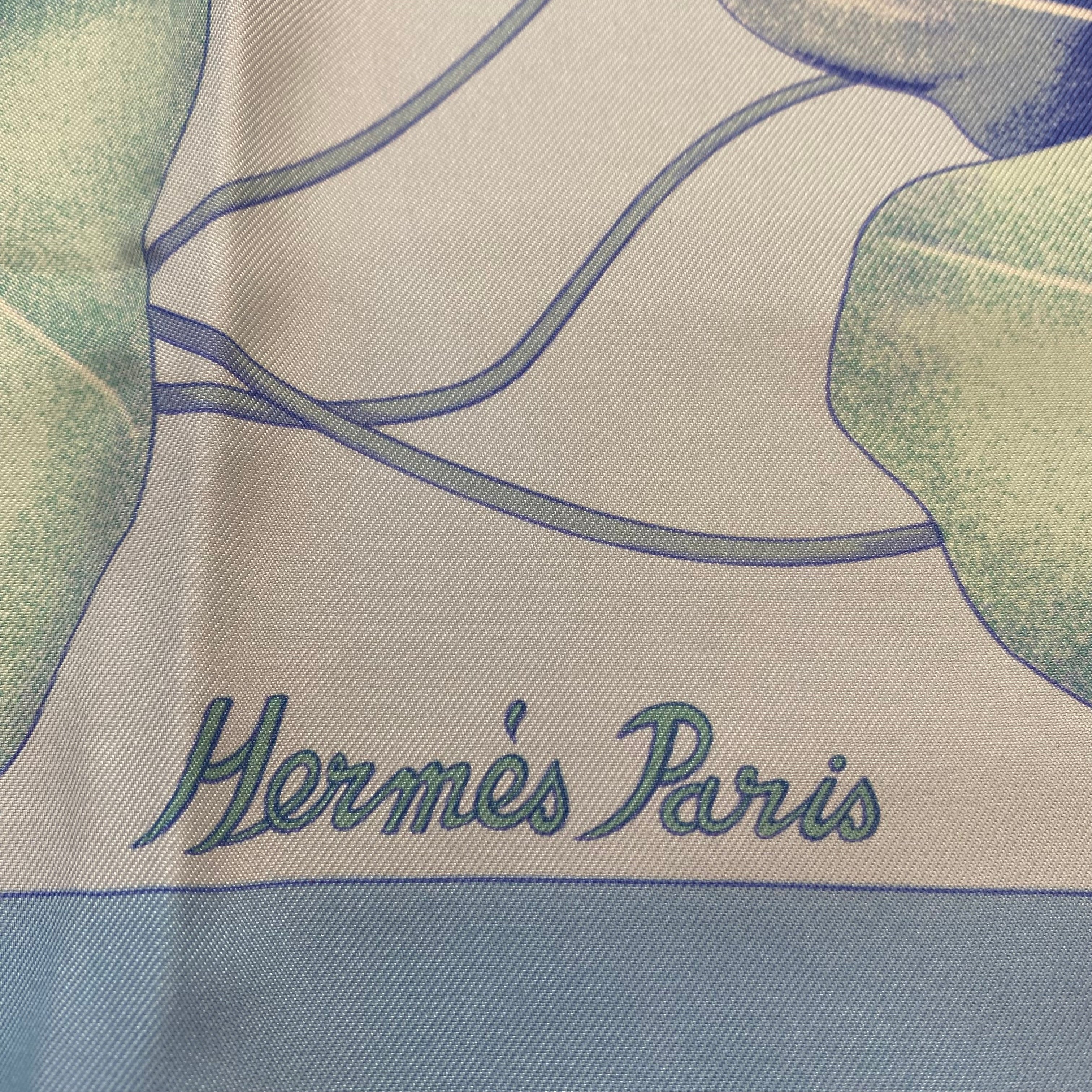 Brand New Boxed Hermès Les Capucines Silk Scarf Quite Rare