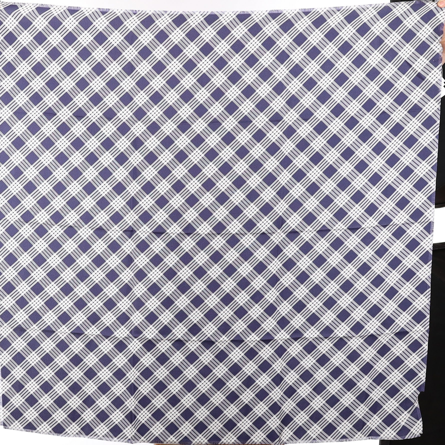 Brand New Agnona Navy Check Silk Scarf
