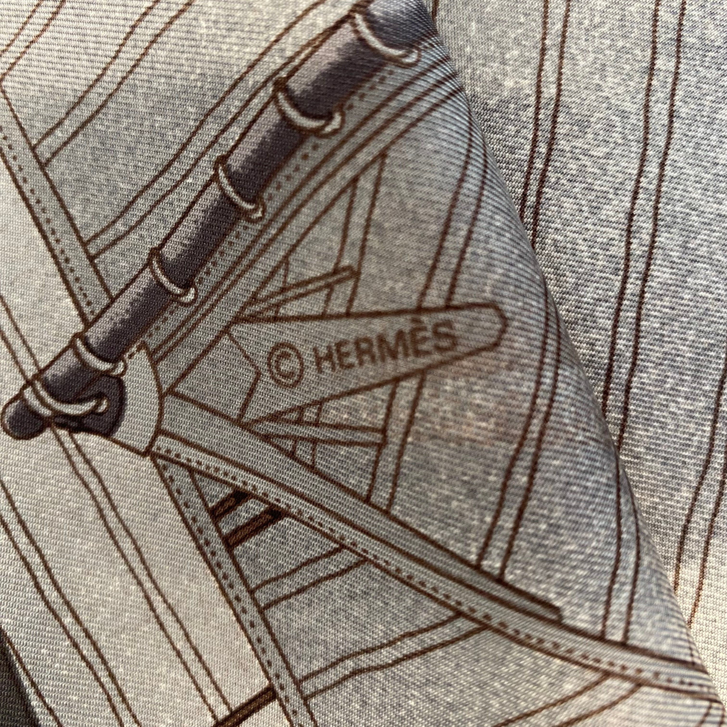 Pristine Hermès Vent Portant II (Detail) Silk Scarf Quite Rare