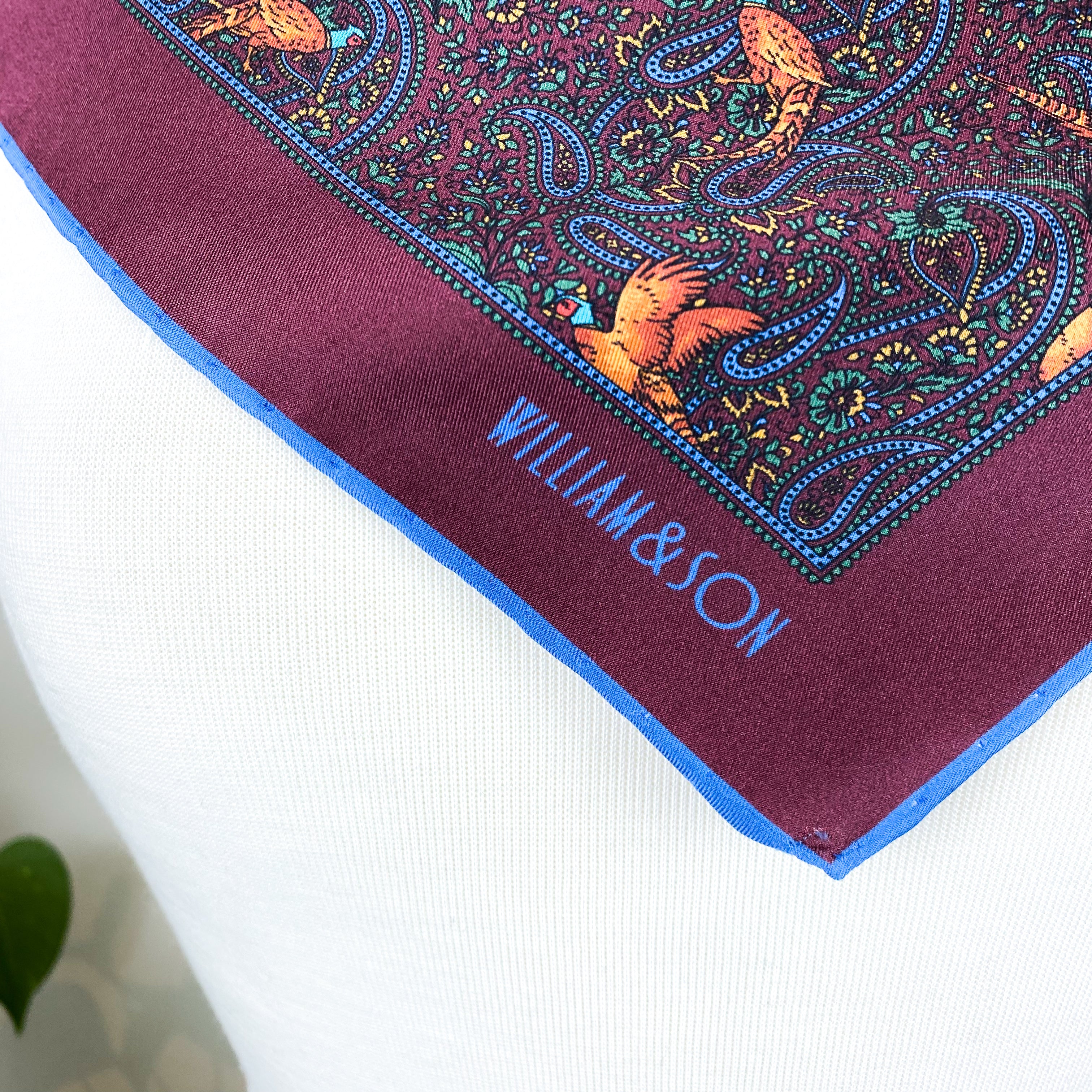 Brand New William & Son Pheasant Silk Handkerchief