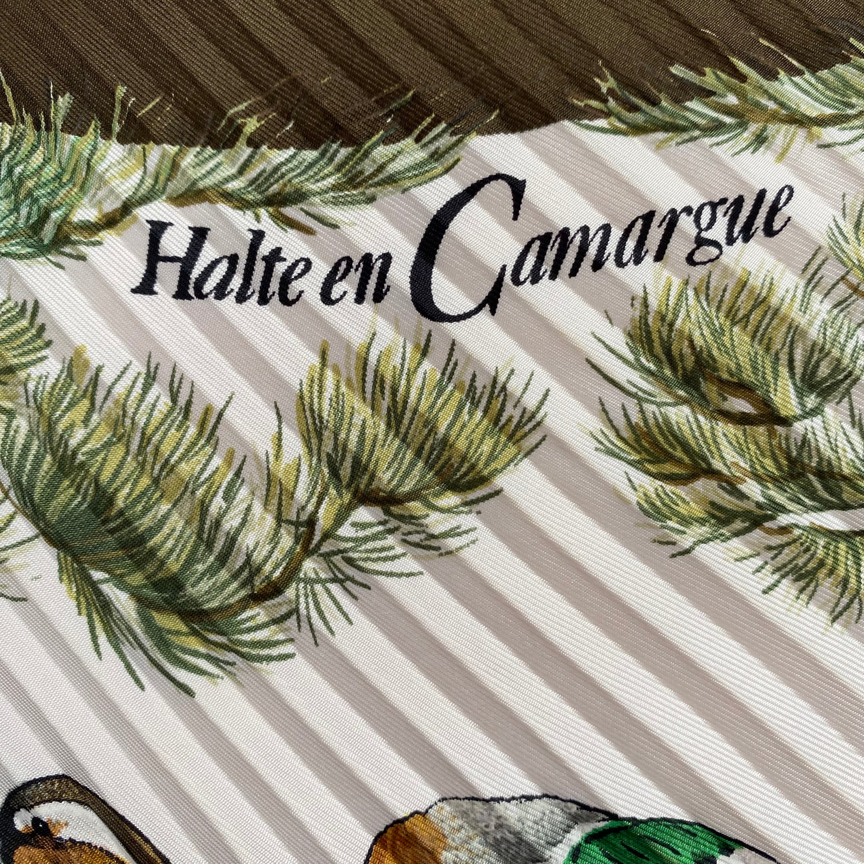 Hermès Halte en Camargue Plissé Silk Scarf