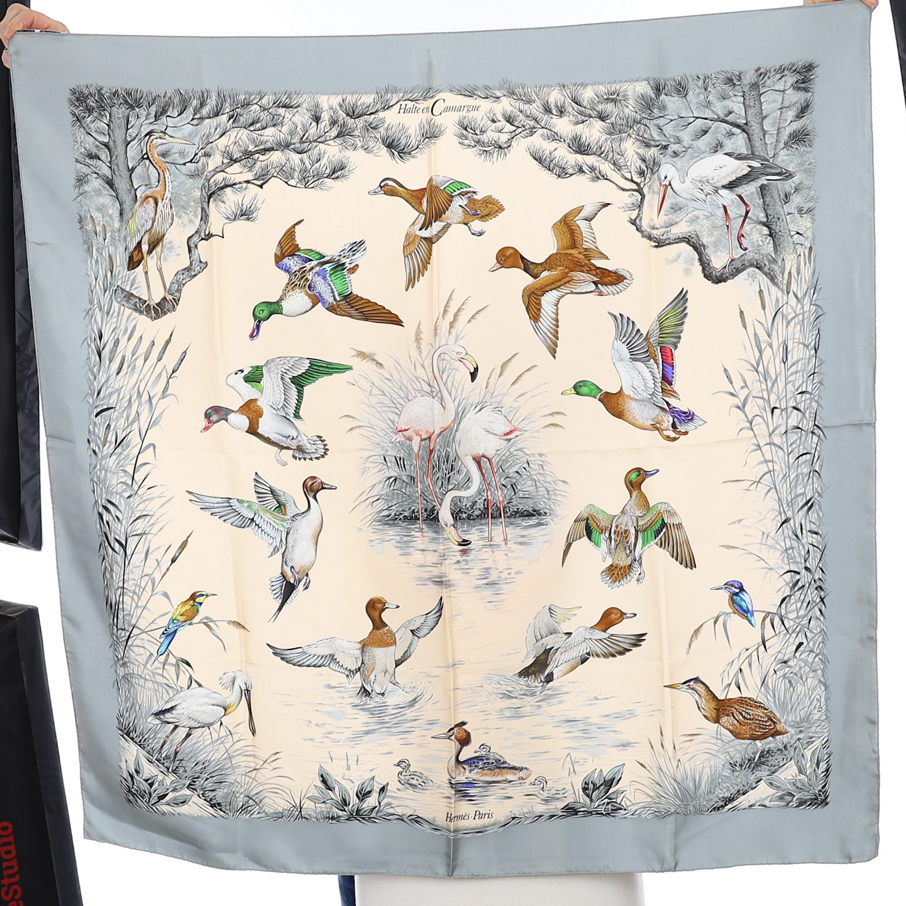 Hermès Halte en Camargue Silk Scarf