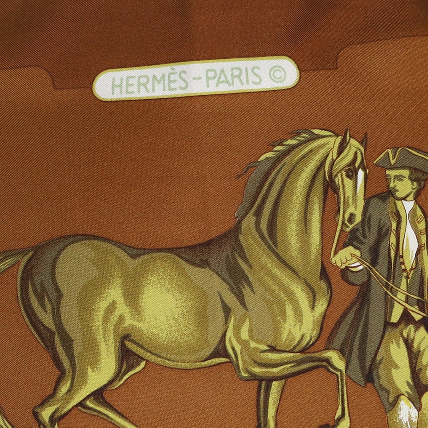 Hermès Parc Royal Silk Scarf Quite Rare