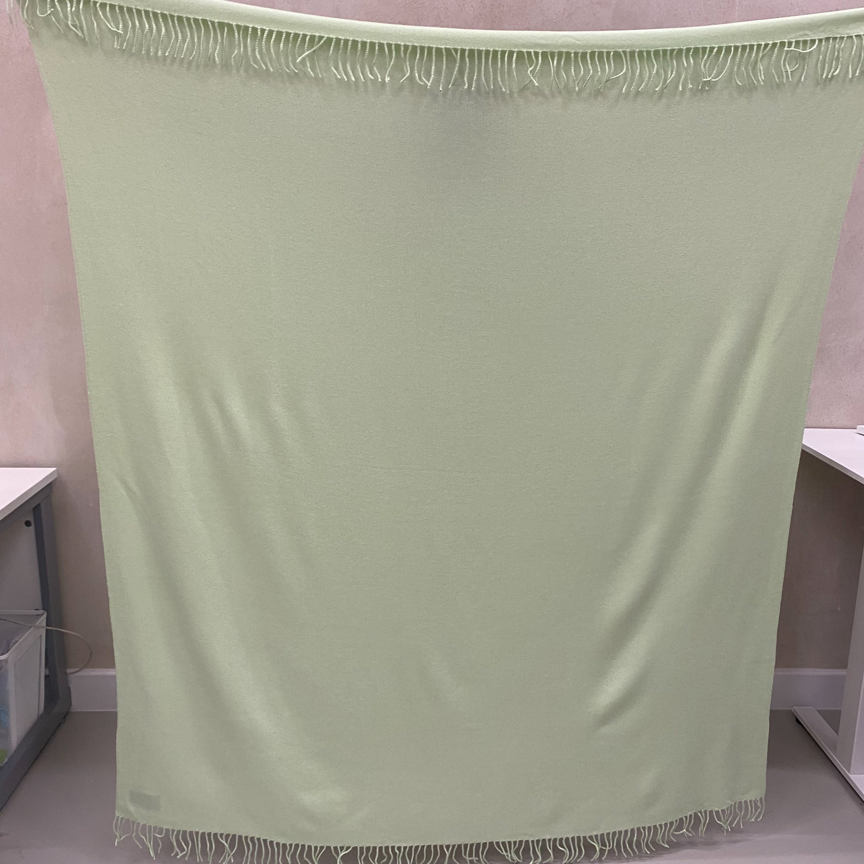 Mint Green Fringed Woven Blanket