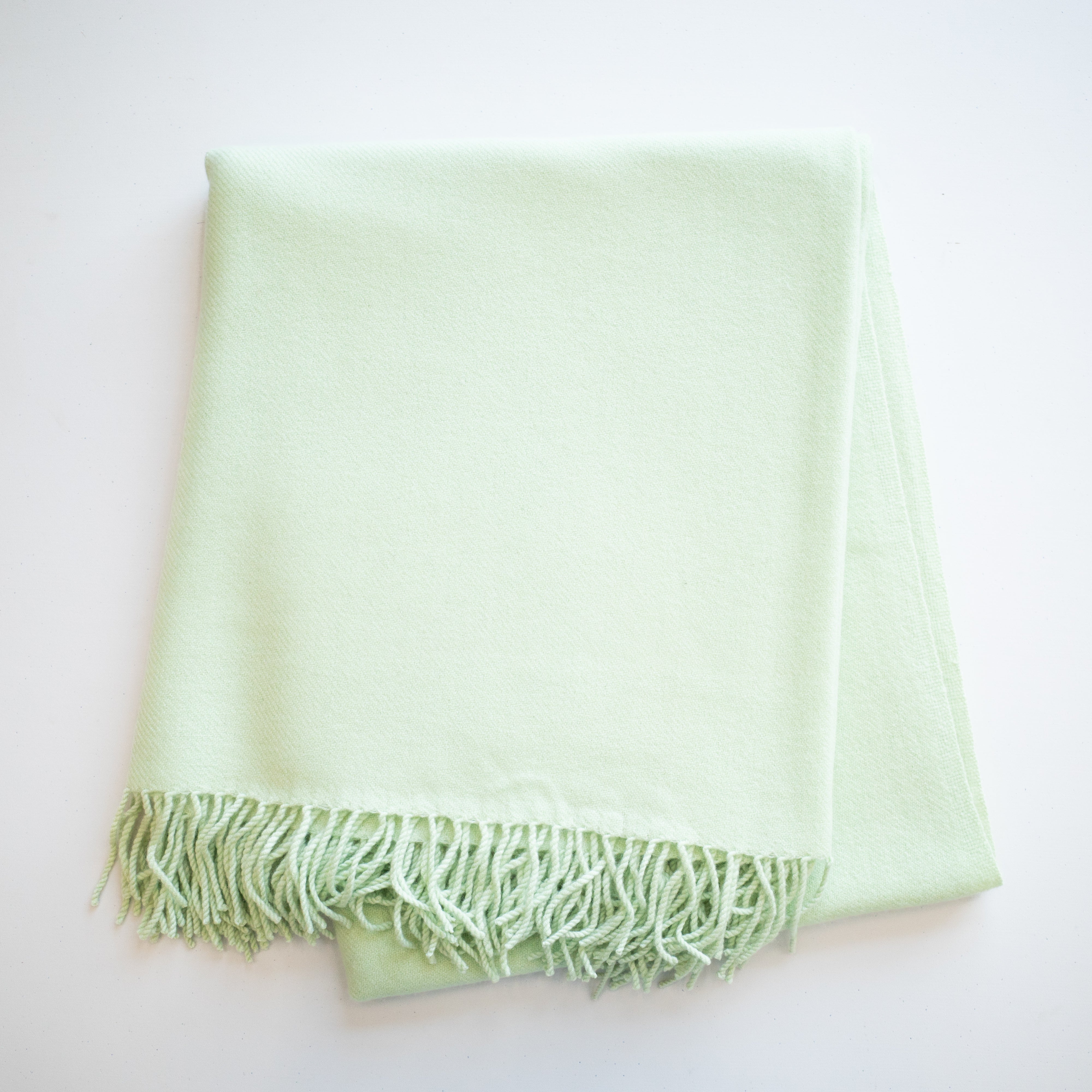 Mint Green Fringed Woven Blanket