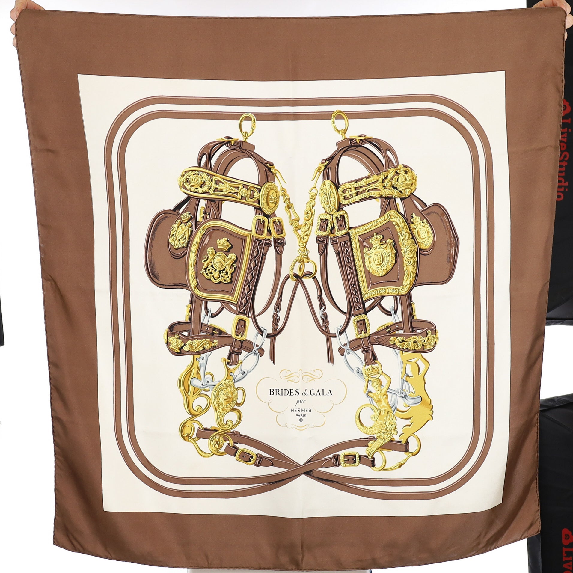 Hermès Brides de Gala Silk Scarf