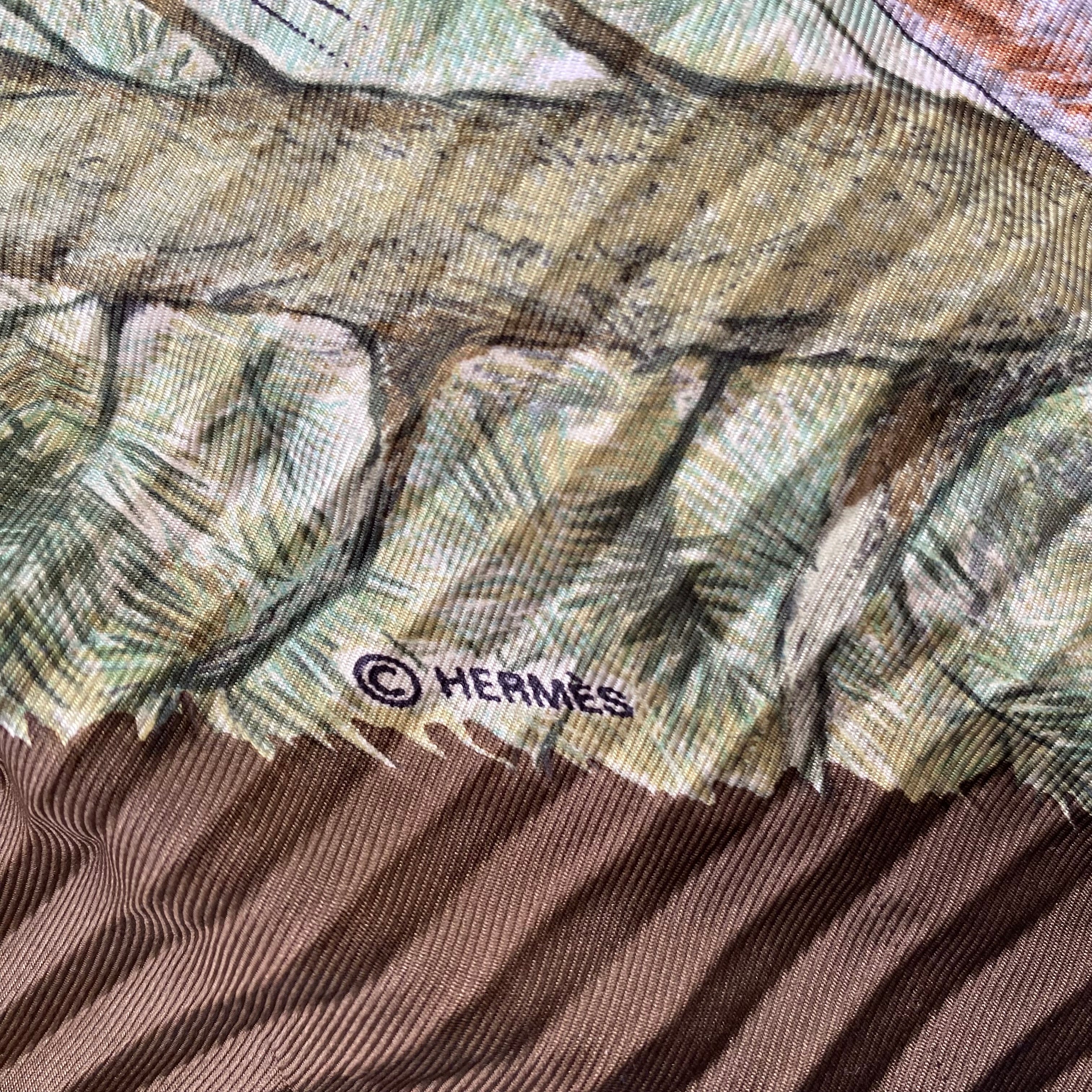 Hermès Halte en Camargue Plissé Silk Scarf