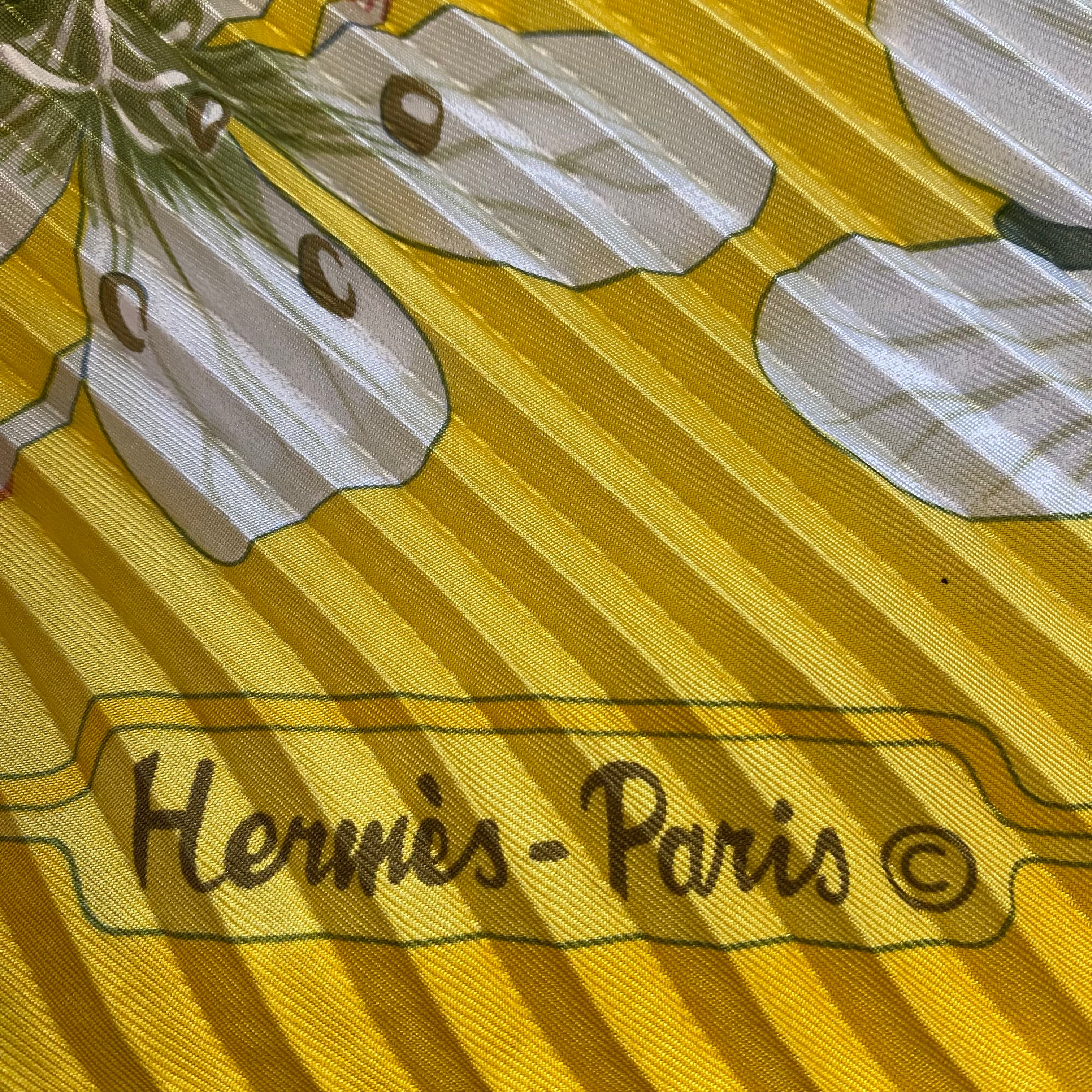 Pristine Boxed Hermès Flora Greaca 1983 Plissè Silk Scarf