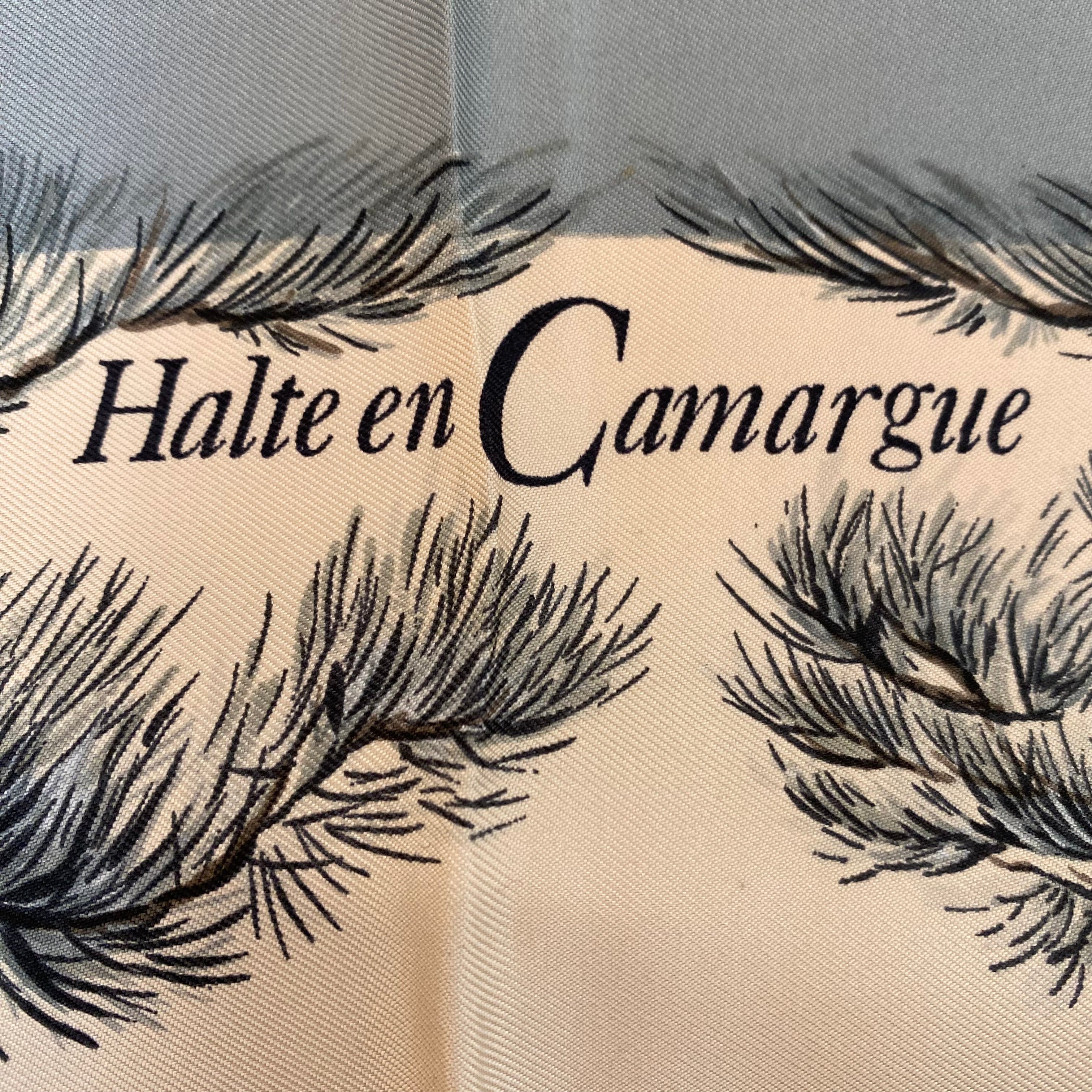 Hermès Halte en Camargue Silk Scarf