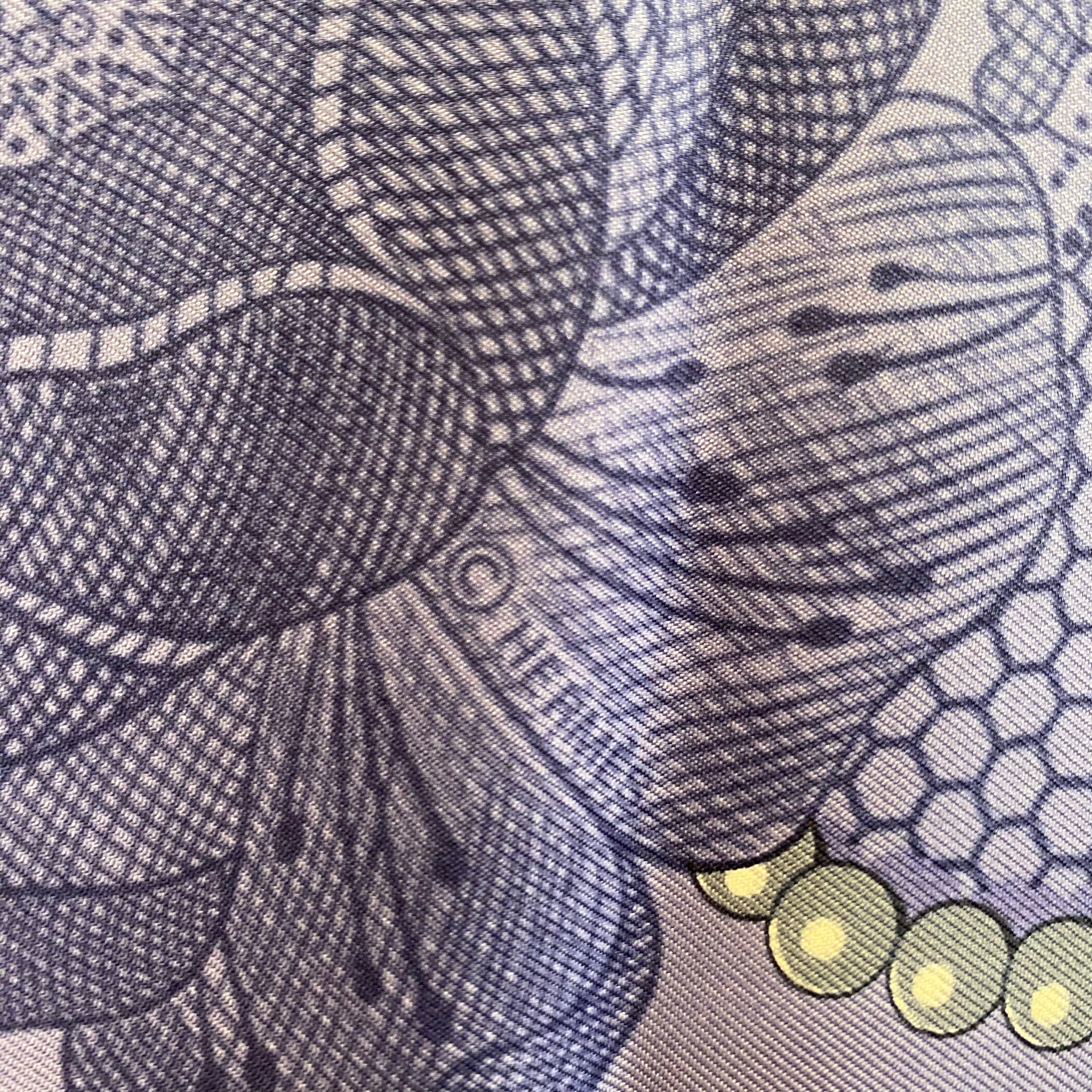 Hermès Doigts de Fée Silk Scarf