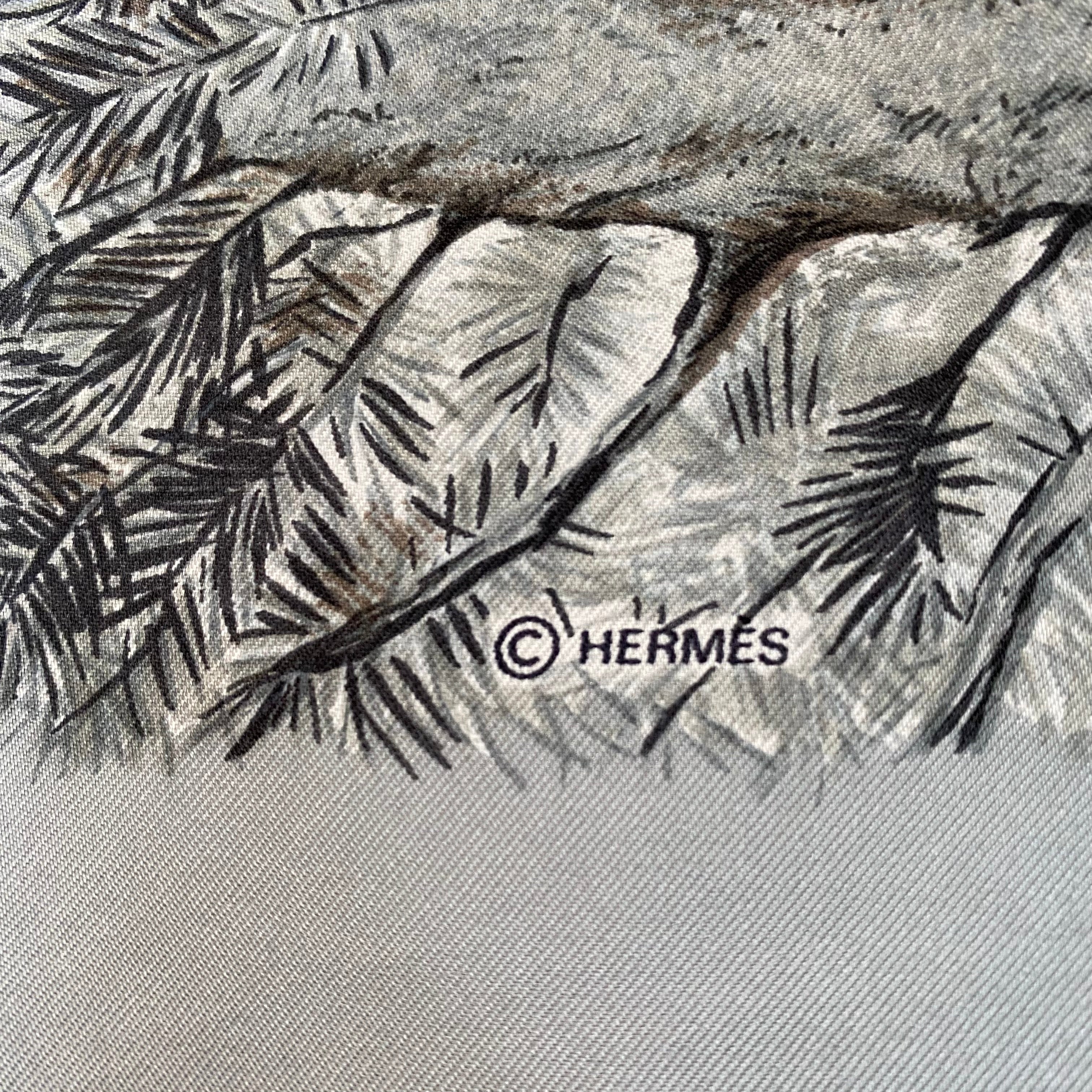 Hermès Halte en Camargue Silk Scarf