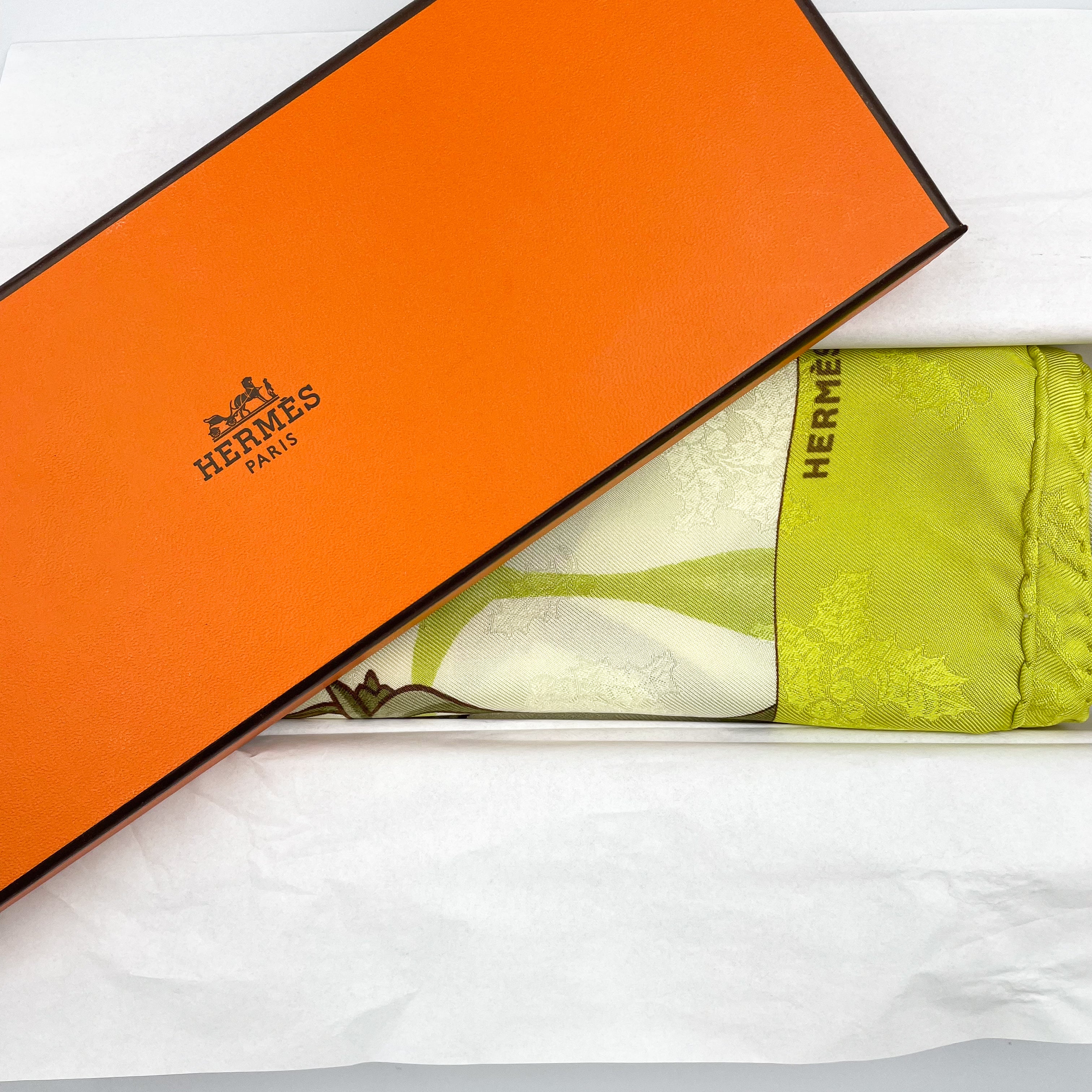 Boxed Hermes Neige d’Anton 2001 Vintage Silk Scarf