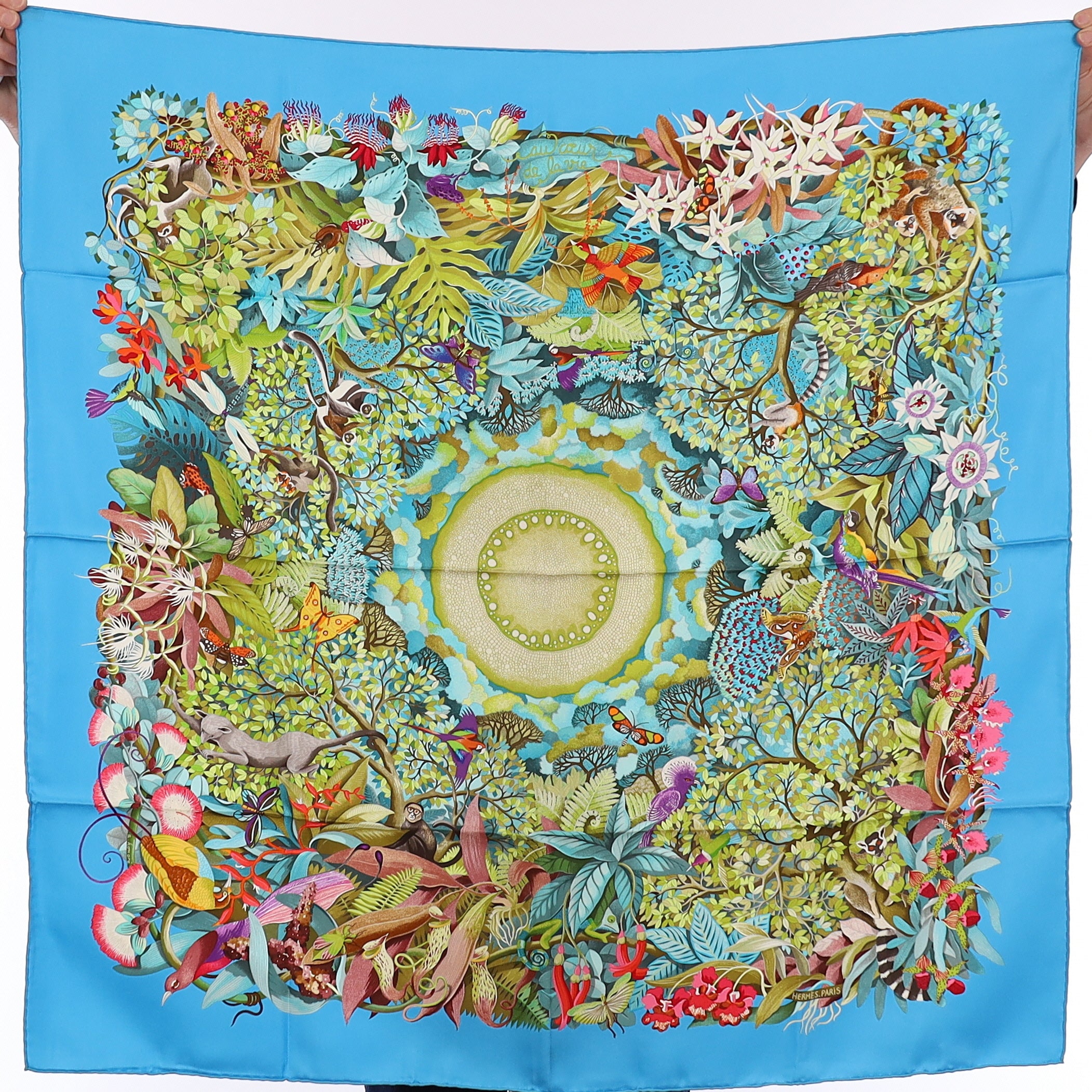 Brand New Boxed Hermès Au Coeur de la Vie Silk Scarf Quite Rare