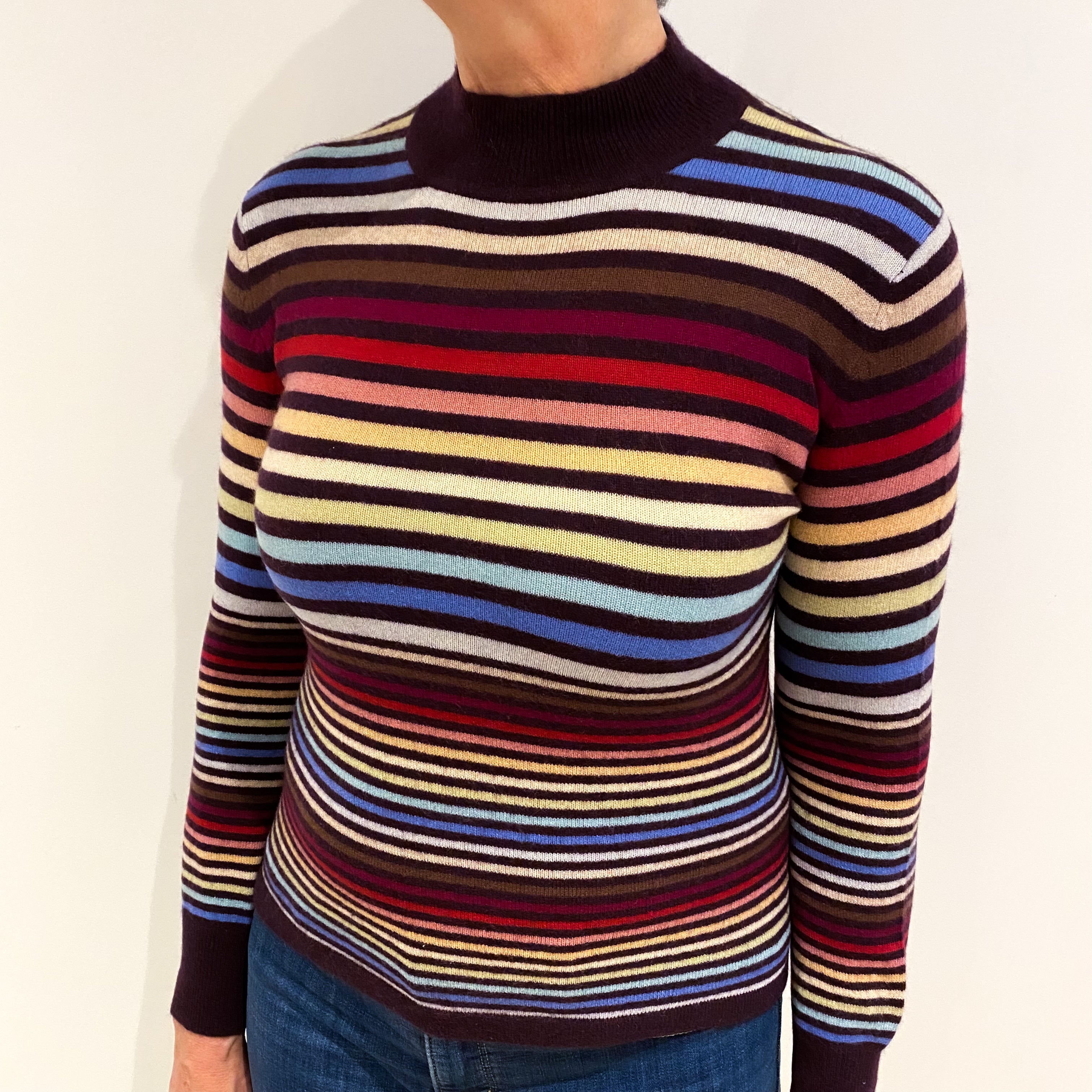 Aubergine Multicoloured Striped Cashmere Turtle Neck Jumper Medium