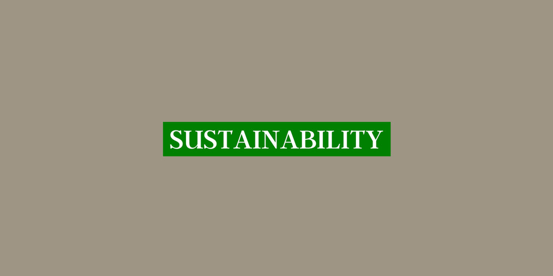 5 ways we are sustainable
