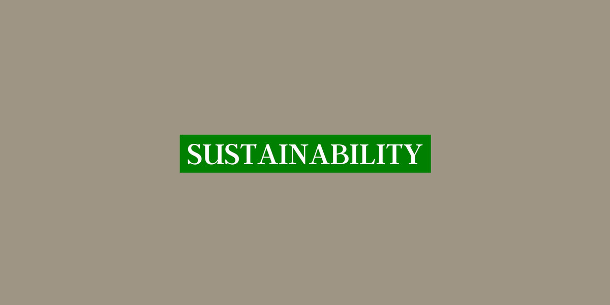 5 ways we are sustainable