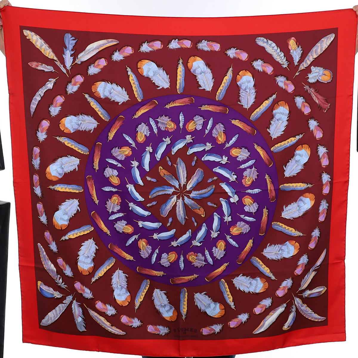 Brand New Boxed Hermès Plumes II Silk Scarf