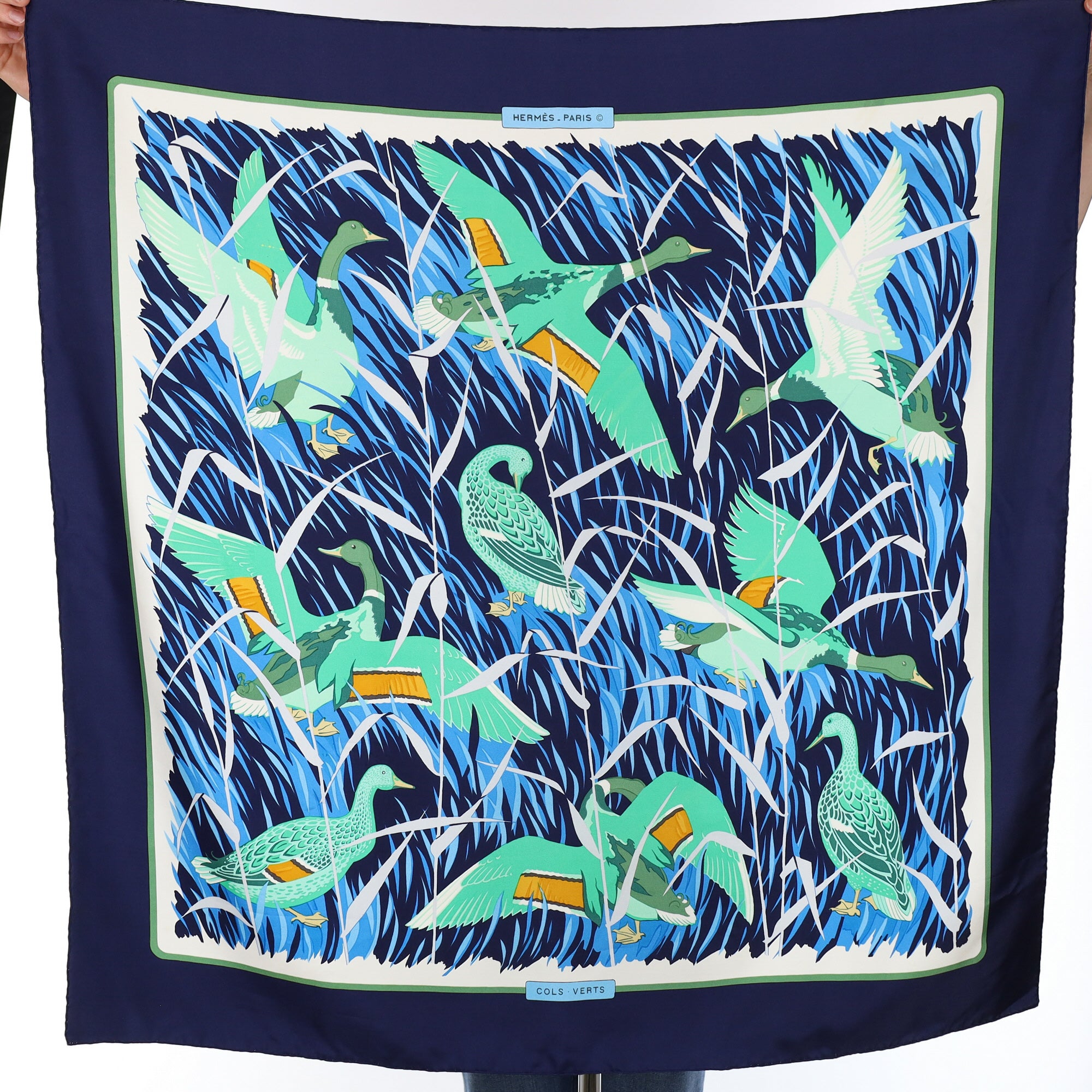 Hermès Cols Verts Silk Scarf