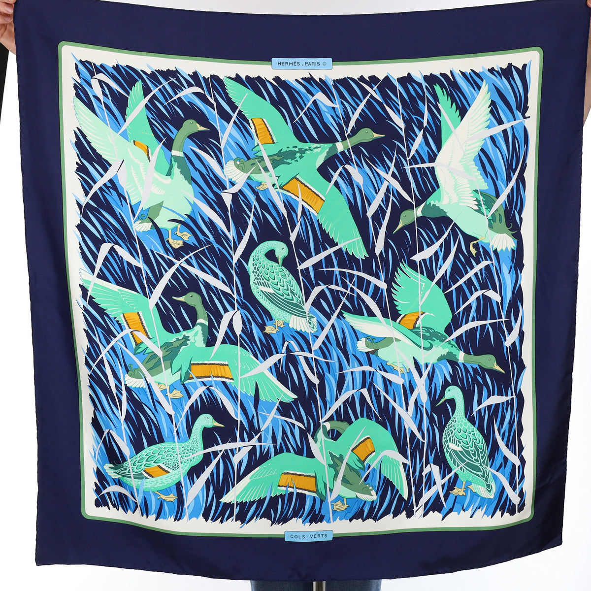 Hermès Cols Verts Silk Scarf