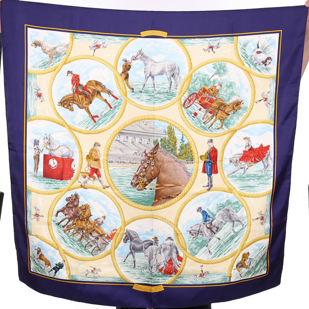 Brand New Boxed Hermès Auteuil en Mai Silk Scarf Quite Rare