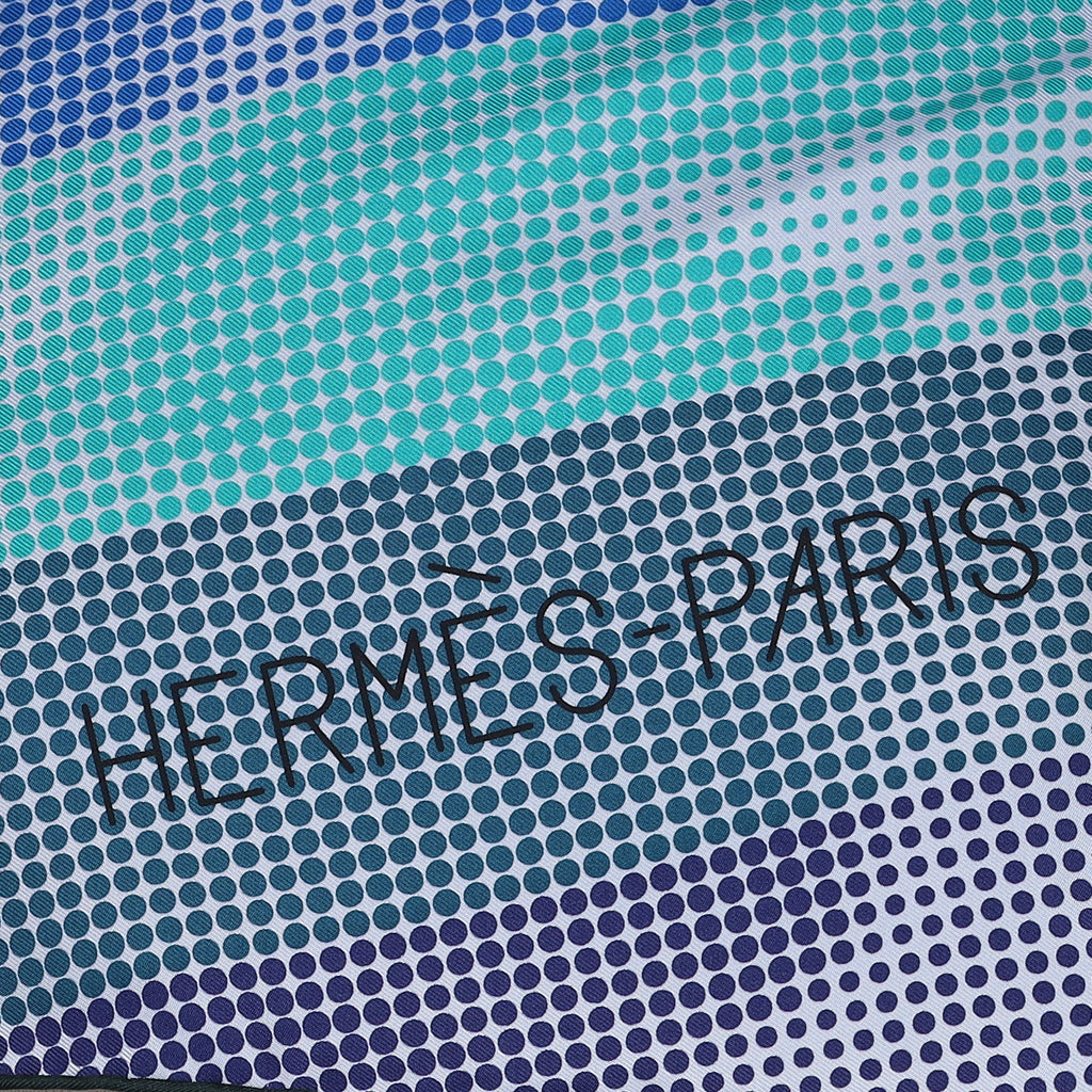 Brand New Boxed Hermès Le Sauth Silk Scarf Quite Rare