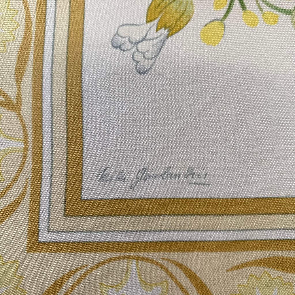 Hermès Oeillets Sauvages et autres Caryophyllées Silk Scarf