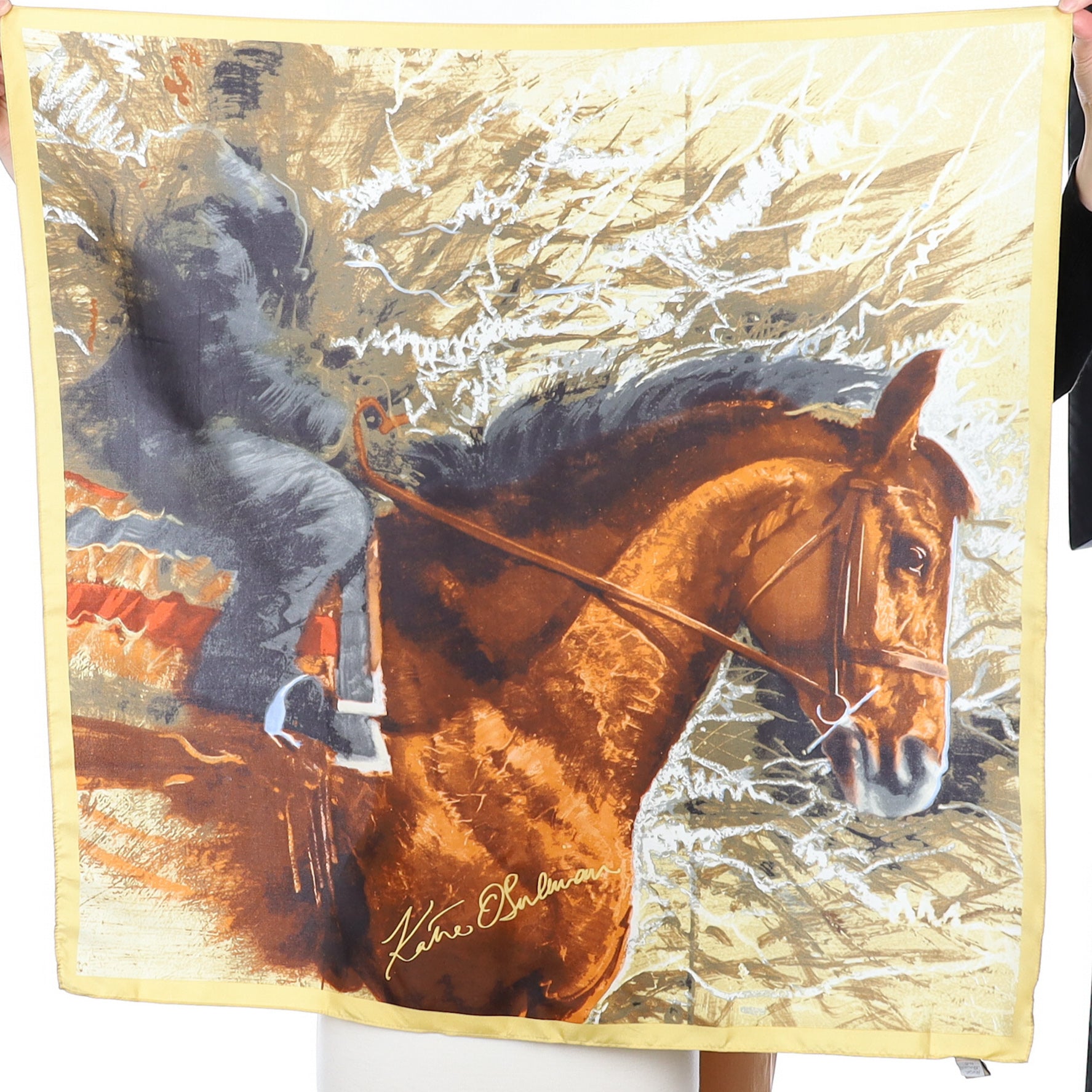 Brand New Kayne O’Sulivan Silk Scarf