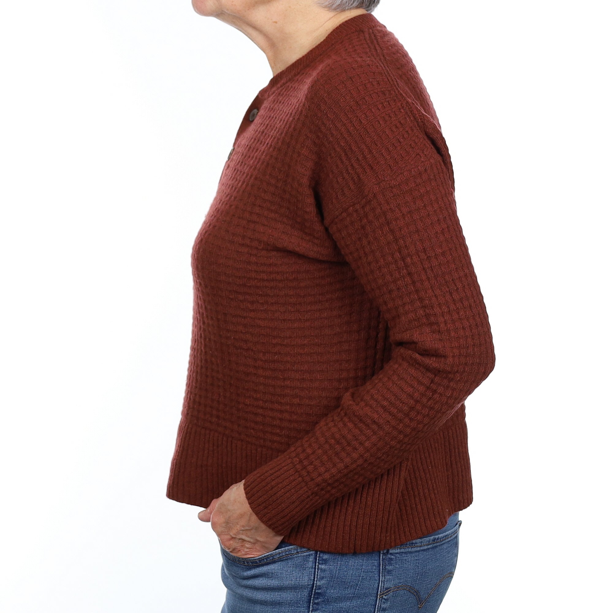 Everlane Mahogany Brown Cashmere Quarter Button Jumper Medium