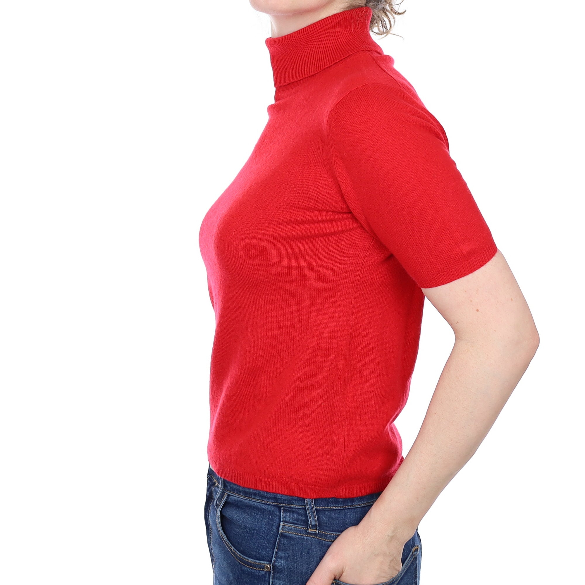 Berry Red Cashmere Short Sleeved Polo Neck Jumper Small