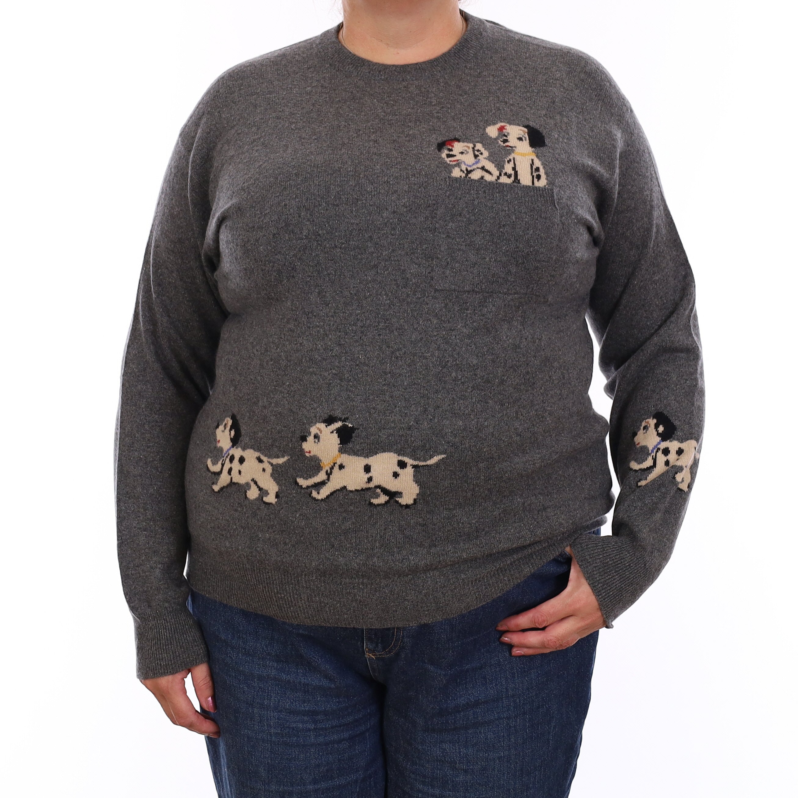 Grey Dalmatian Cashmere Crew Neck Jumper Extra Large