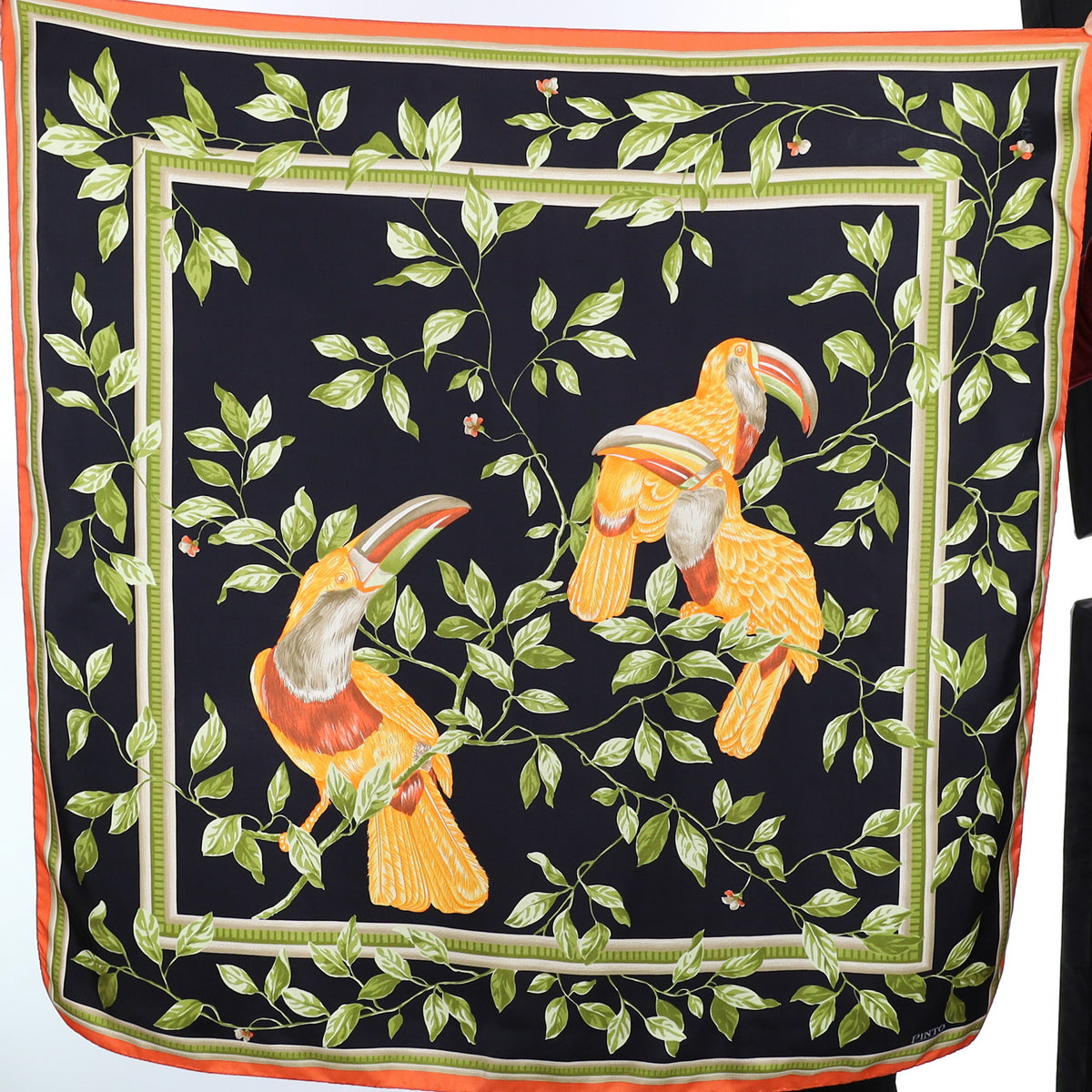 Pinto Parrot Black Vintage Silk Scarf