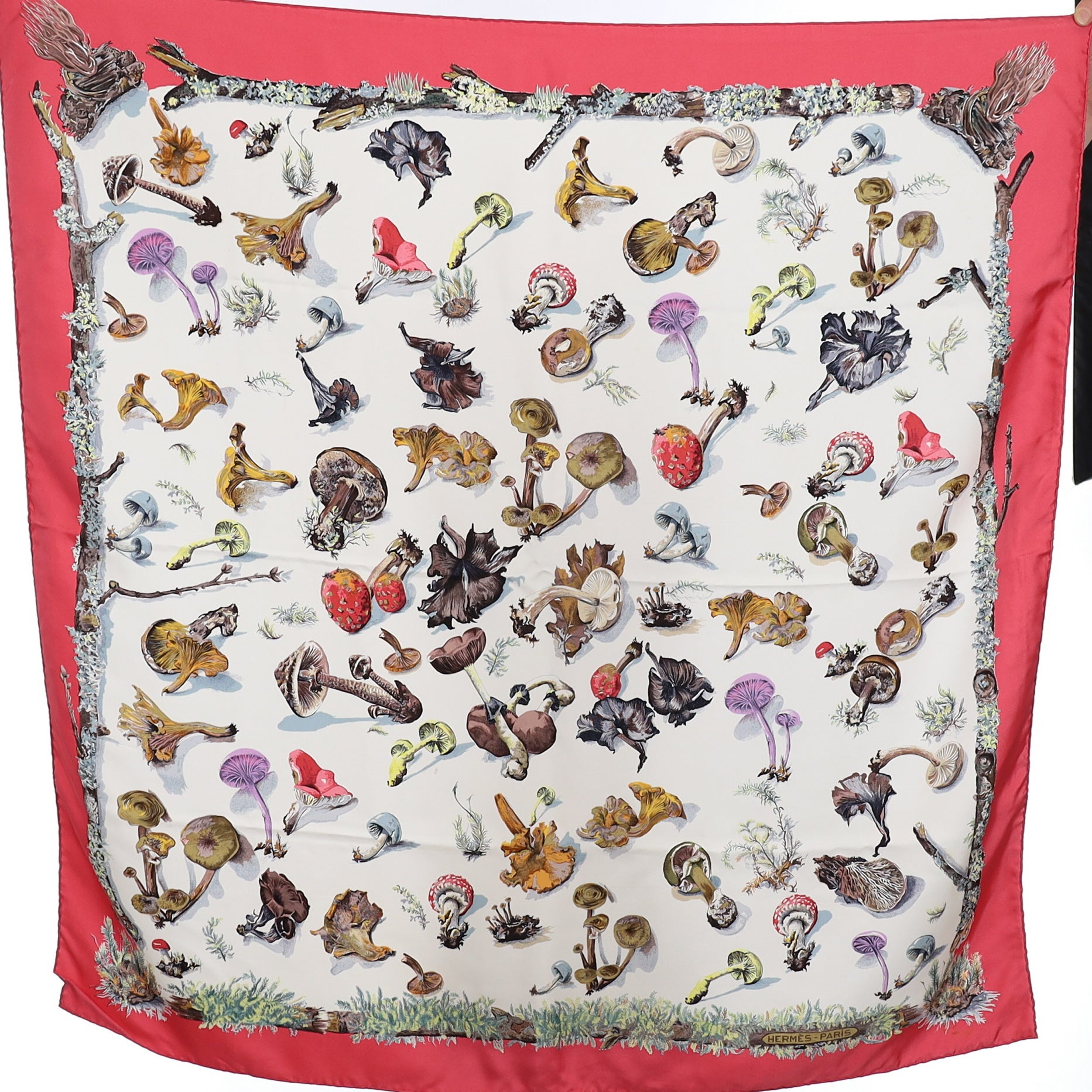 Hermès Les Champignons II Silk Scarf