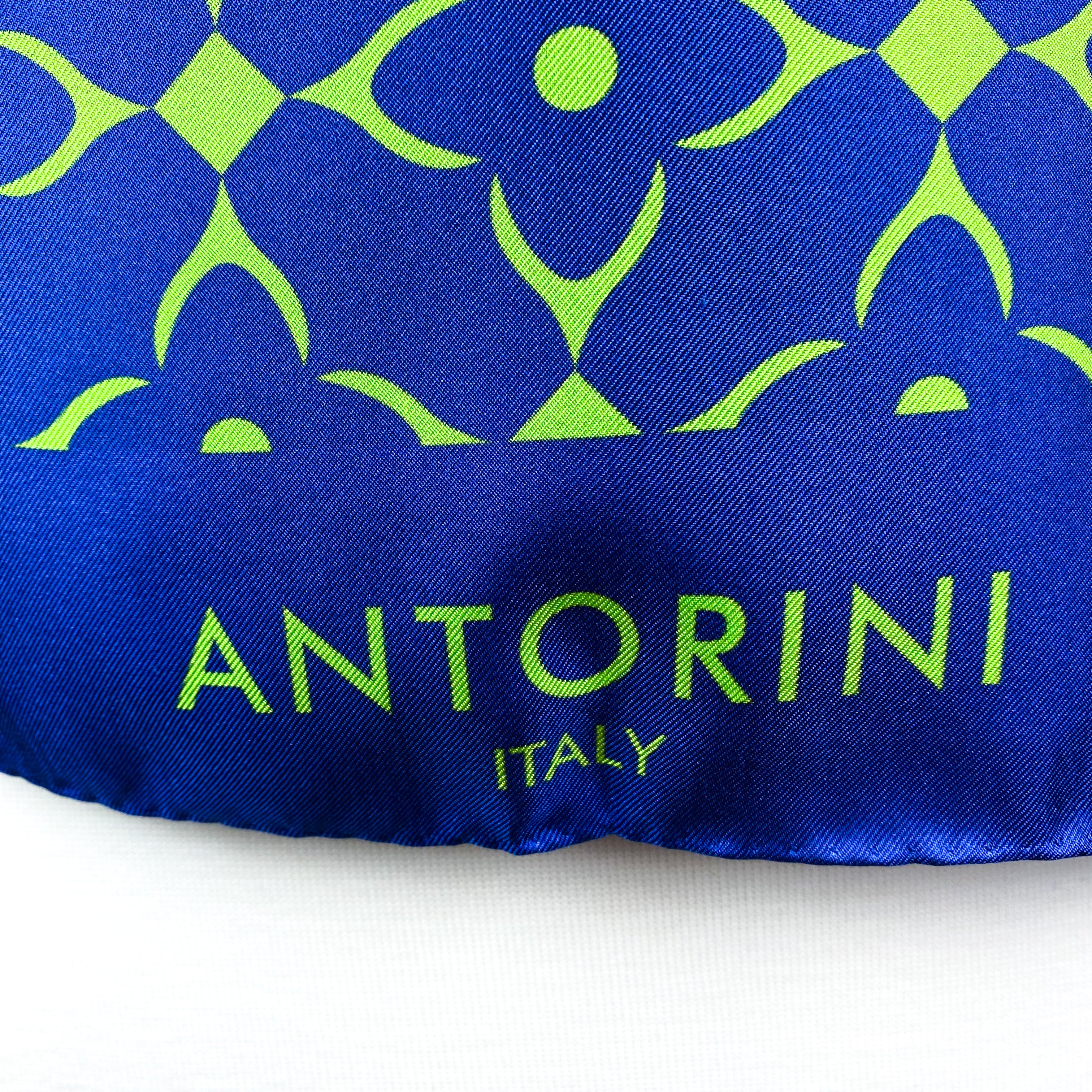 Brand New Antorini Italian Designer Silk Scarf