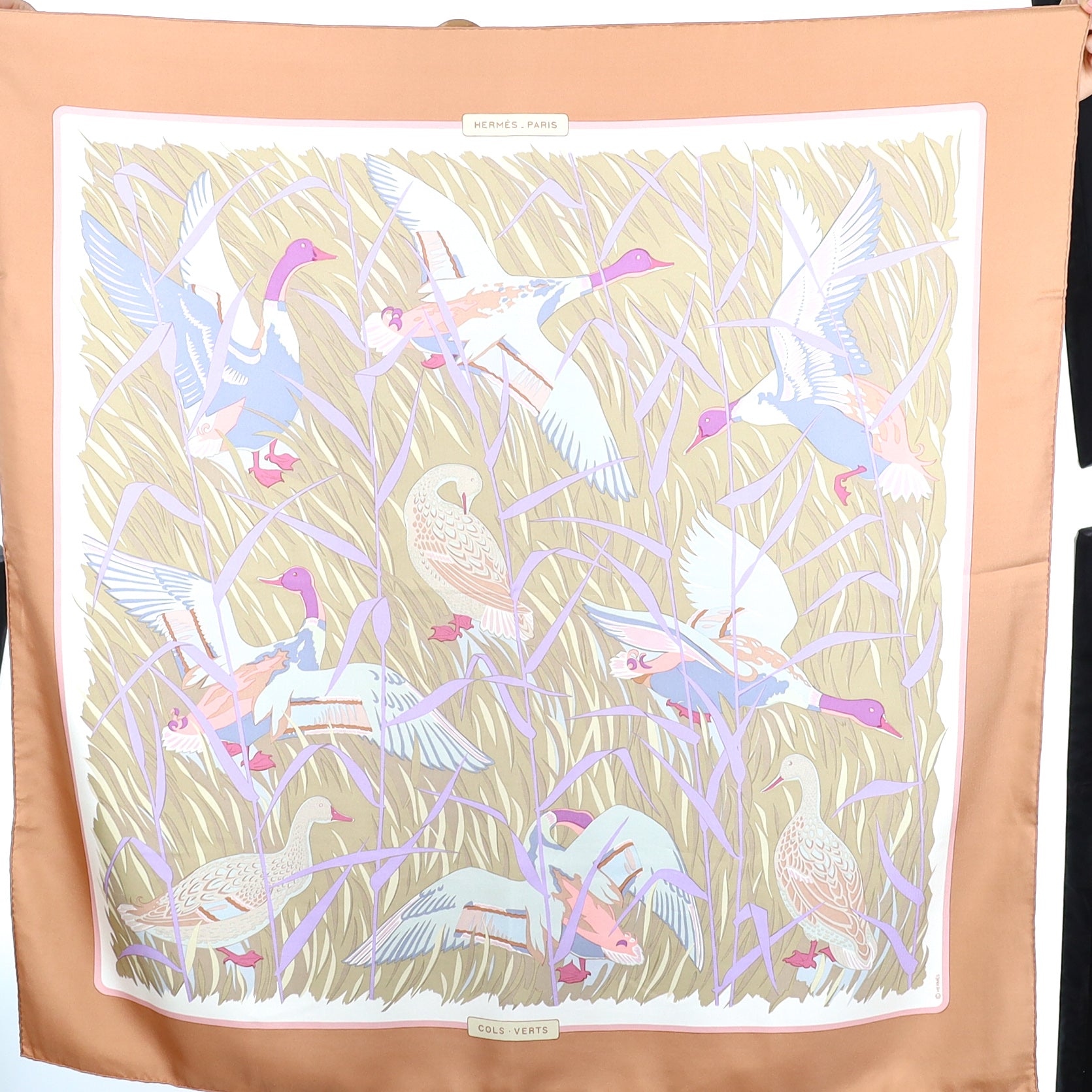 Immaculate Hermès Cols Verts Silk Scarf
