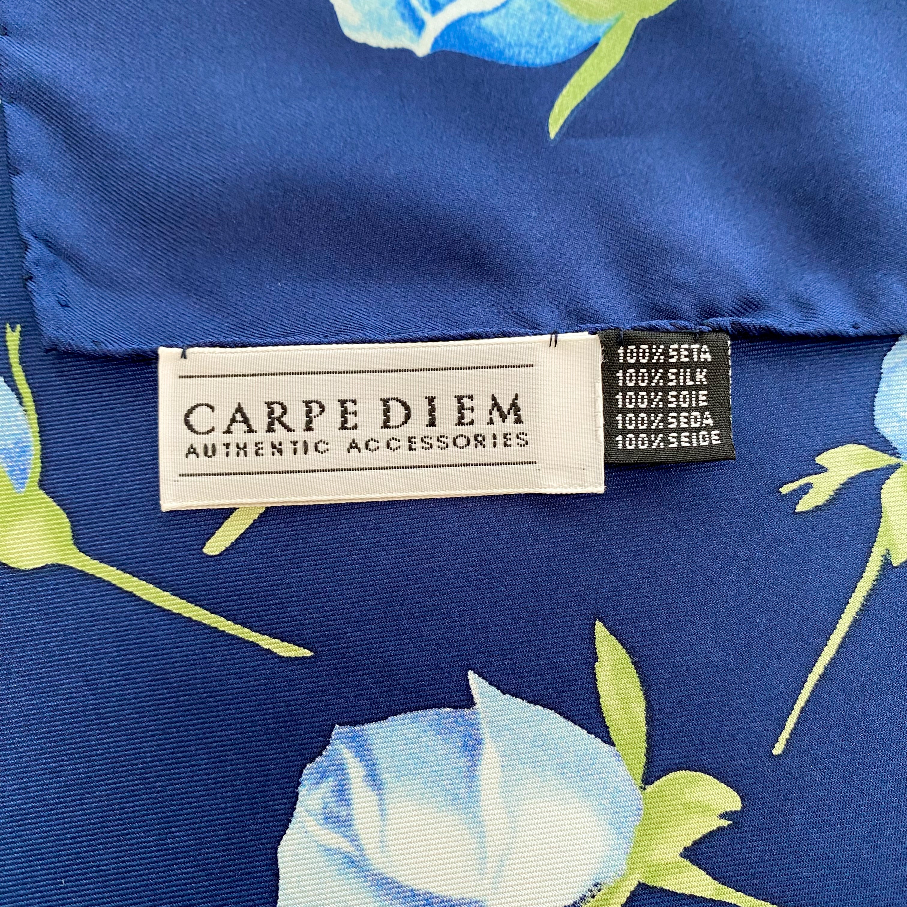Immaculate Carpe Diem Blue Silk Scarf